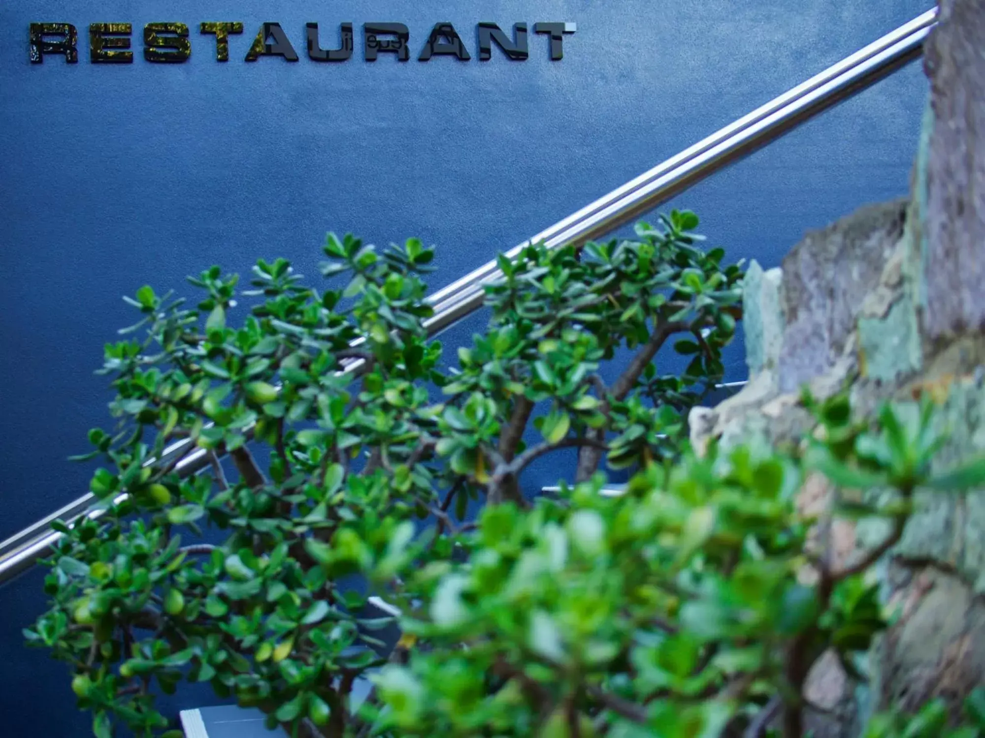 Restaurant/places to eat in Soho Brisbane Restaurant/places to eat in Soho Brisbane