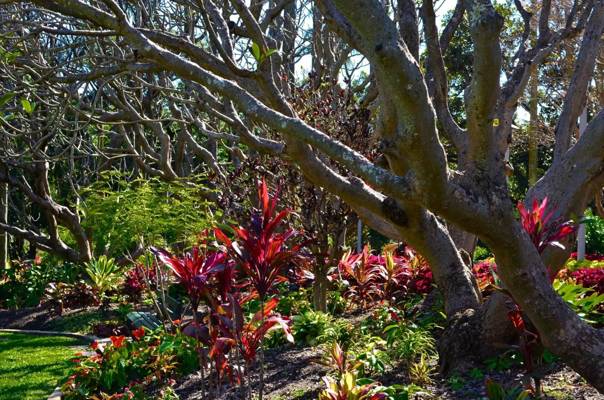 Nearby landmark in Soho Brisbane