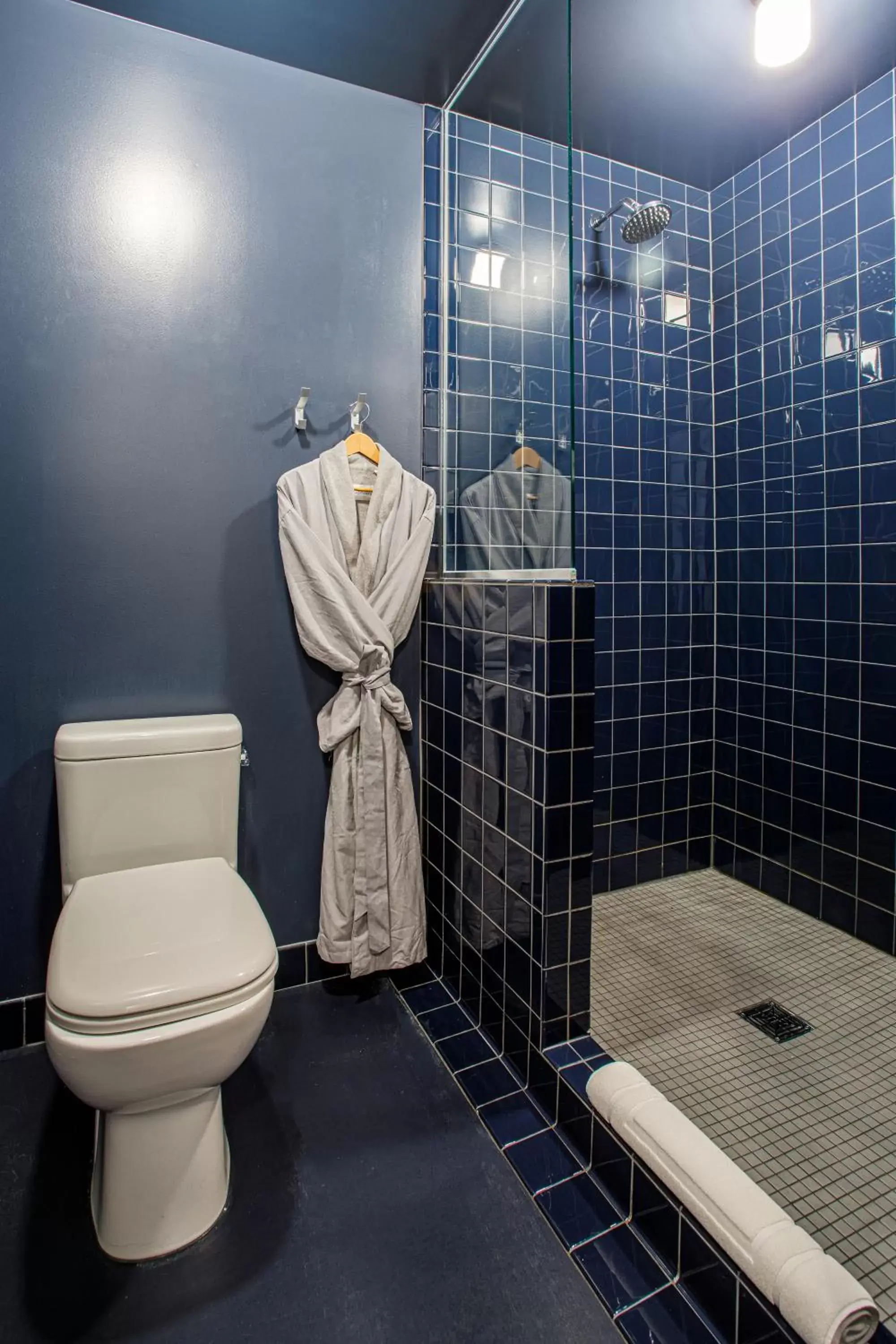 Shower, Bathroom in The Emily Hotel