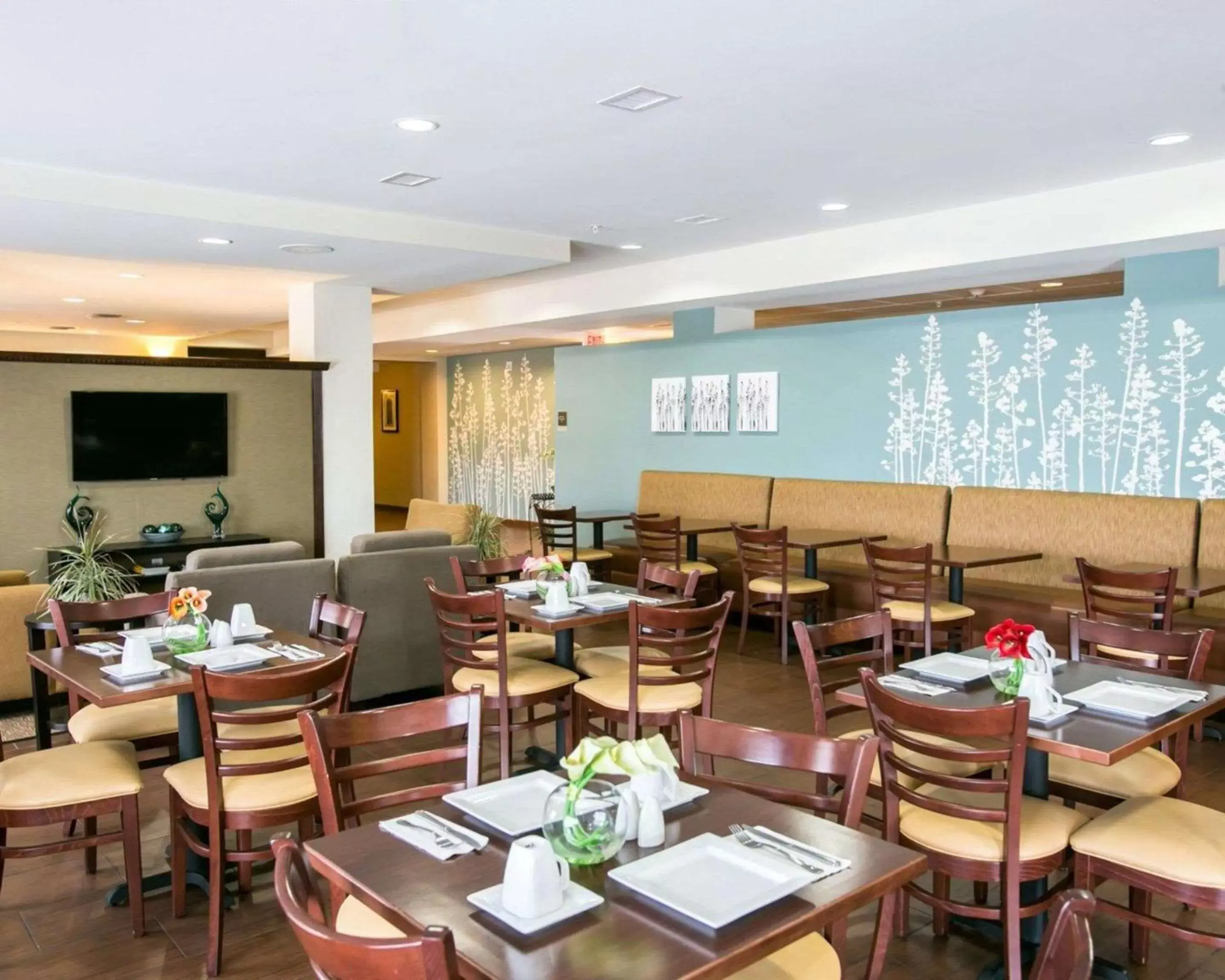Restaurant/Places to Eat in Sleep Inn & Suites Austin