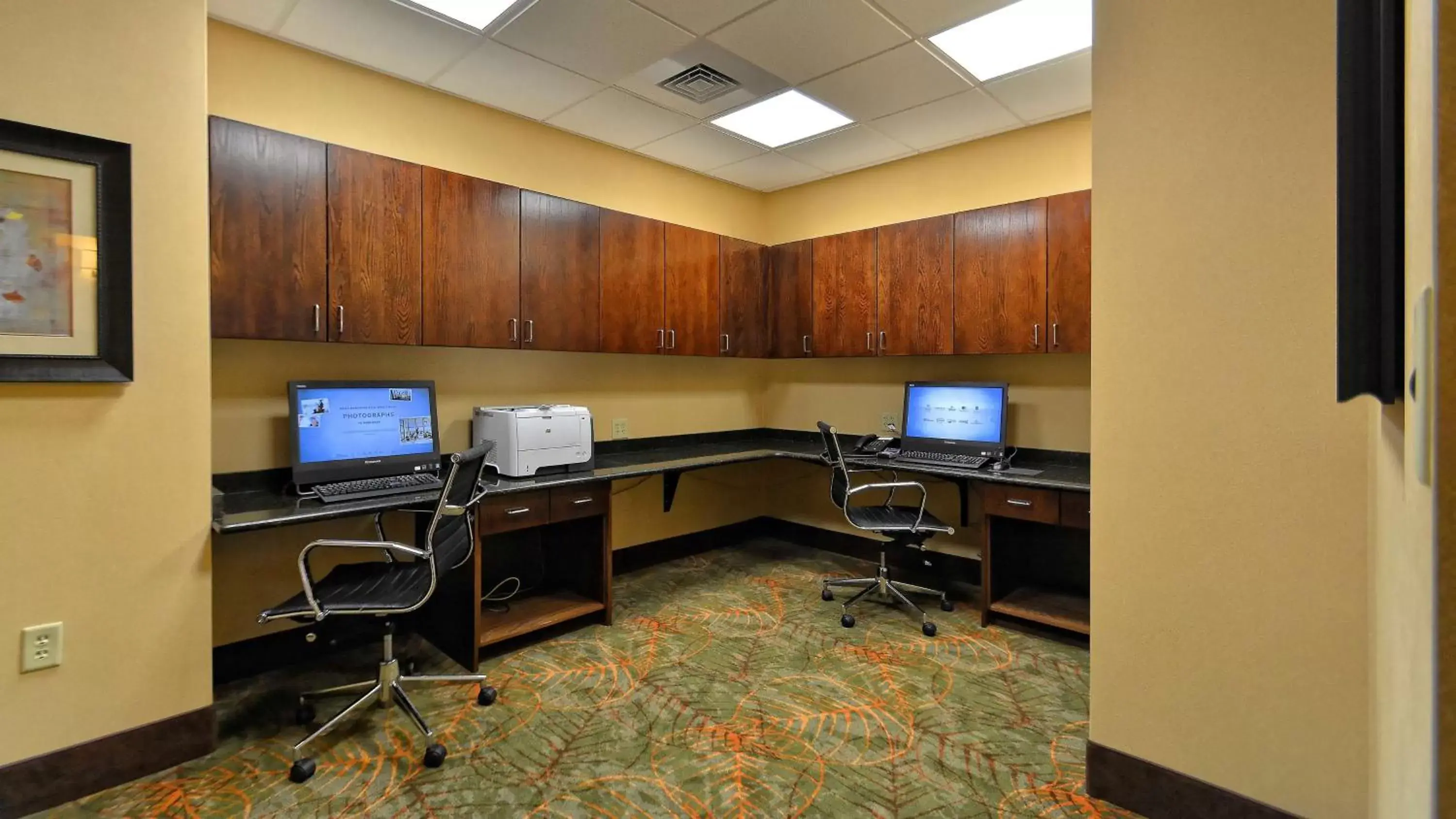 Business facilities, Business Area/Conference Room in Hampton Inn Geneseo