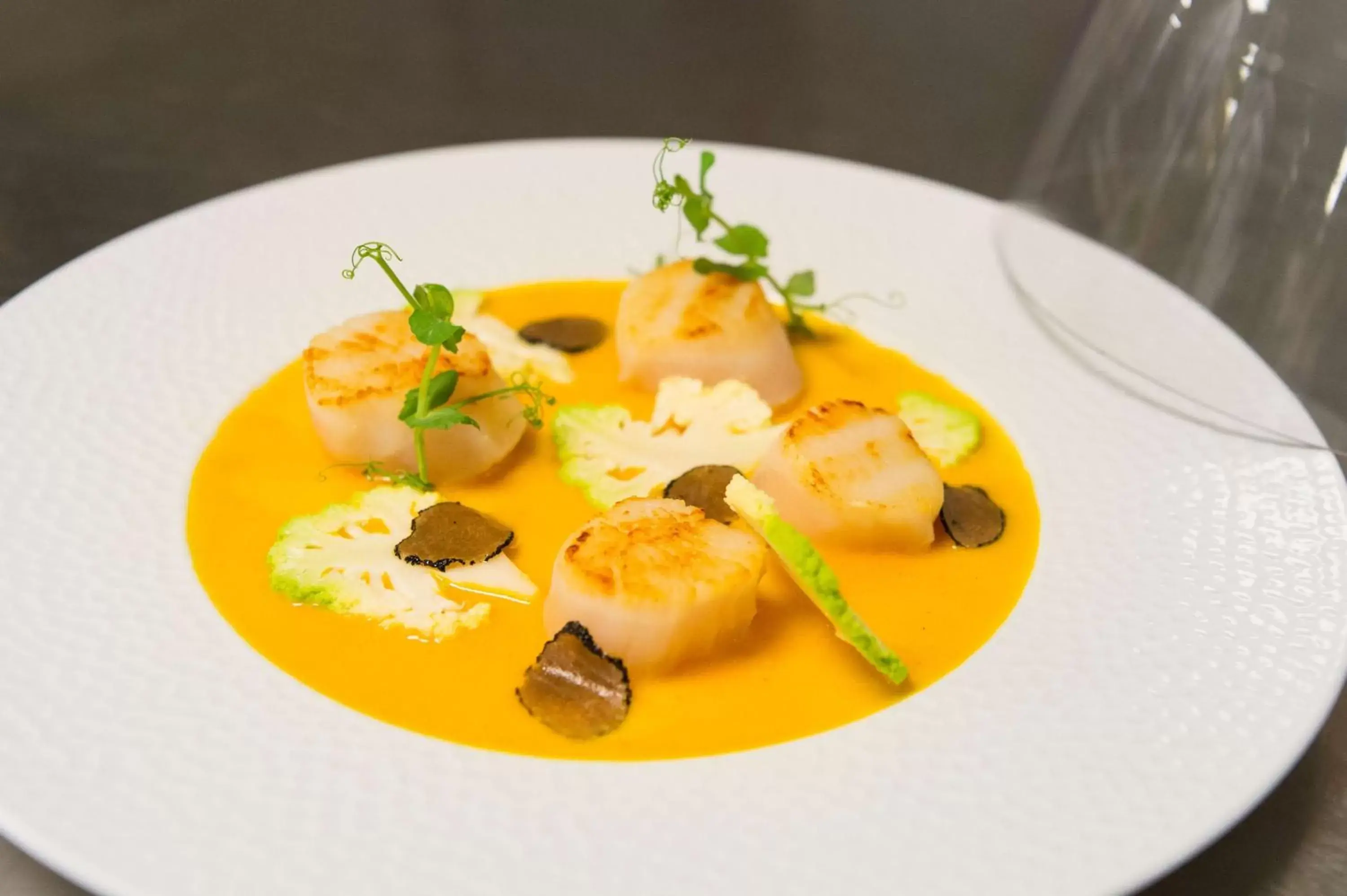 Restaurant/places to eat in Best Western Plus Paris Saclay Restaurant/places to eat in Best Western Plus Paris Saclay