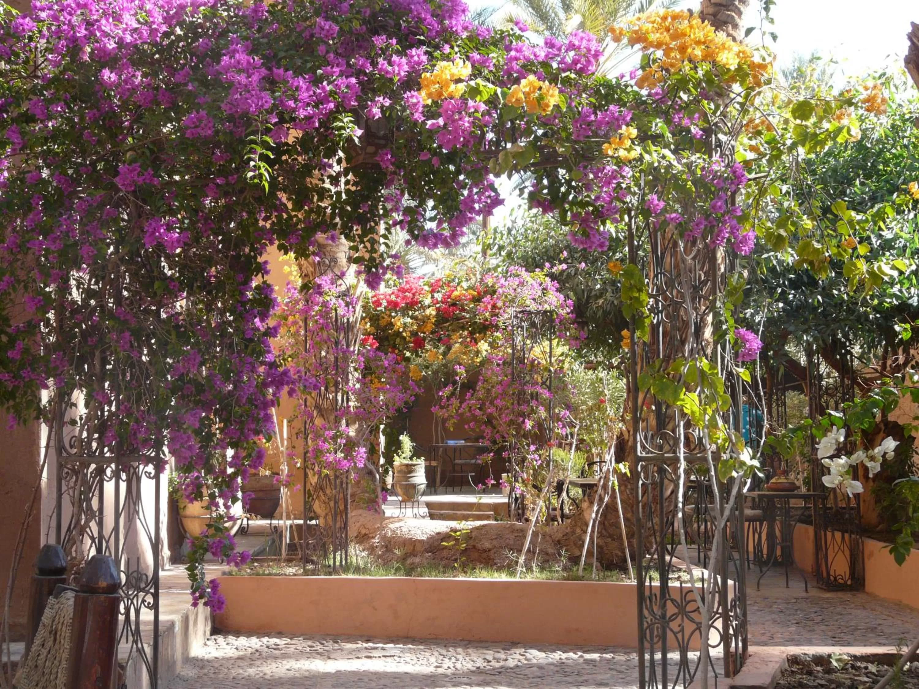 Garden view in Dar Nakhla - Zagora guest house