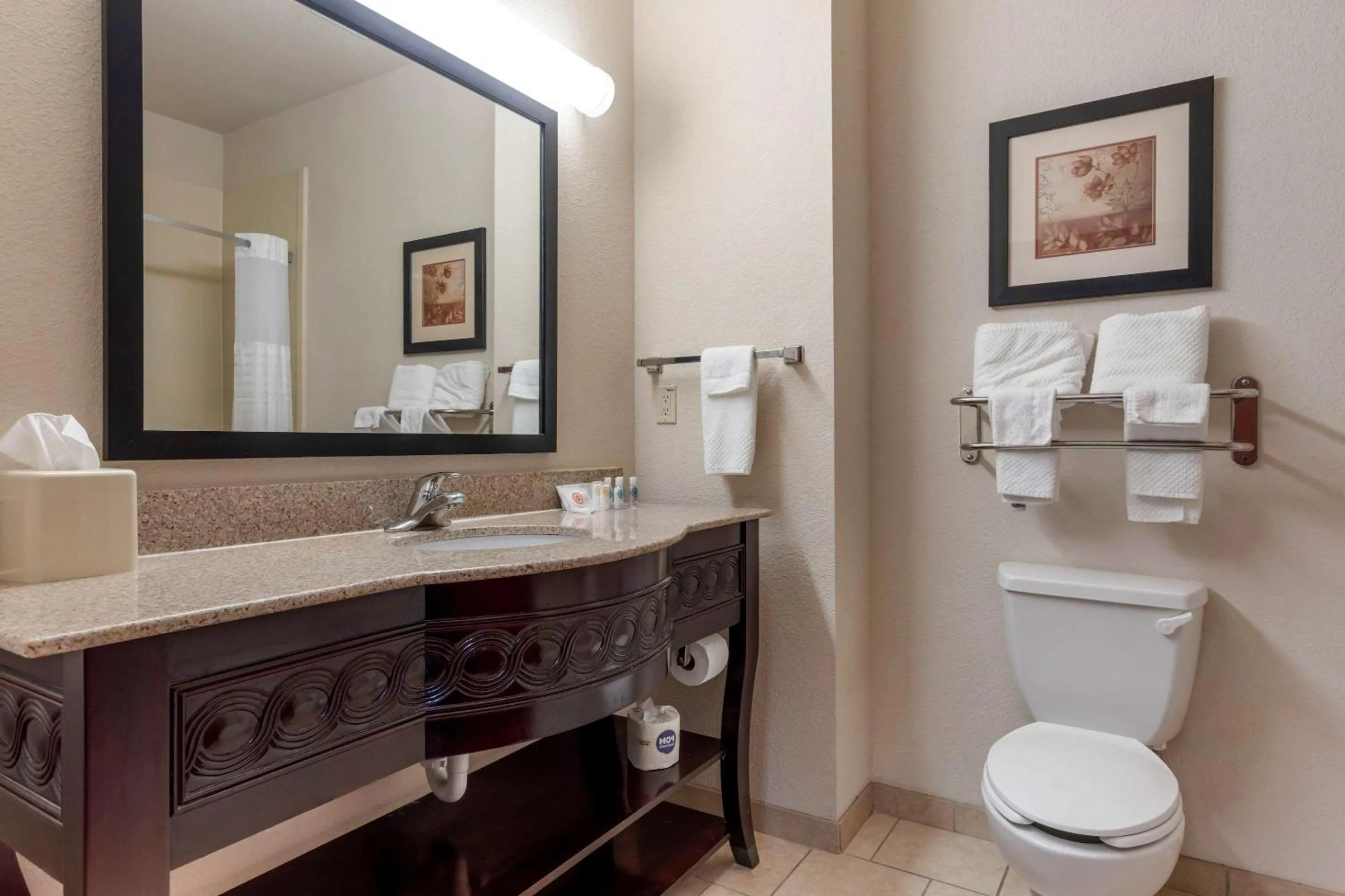 Bathroom in Comfort Inn & Suites Denison - Lake Texoma