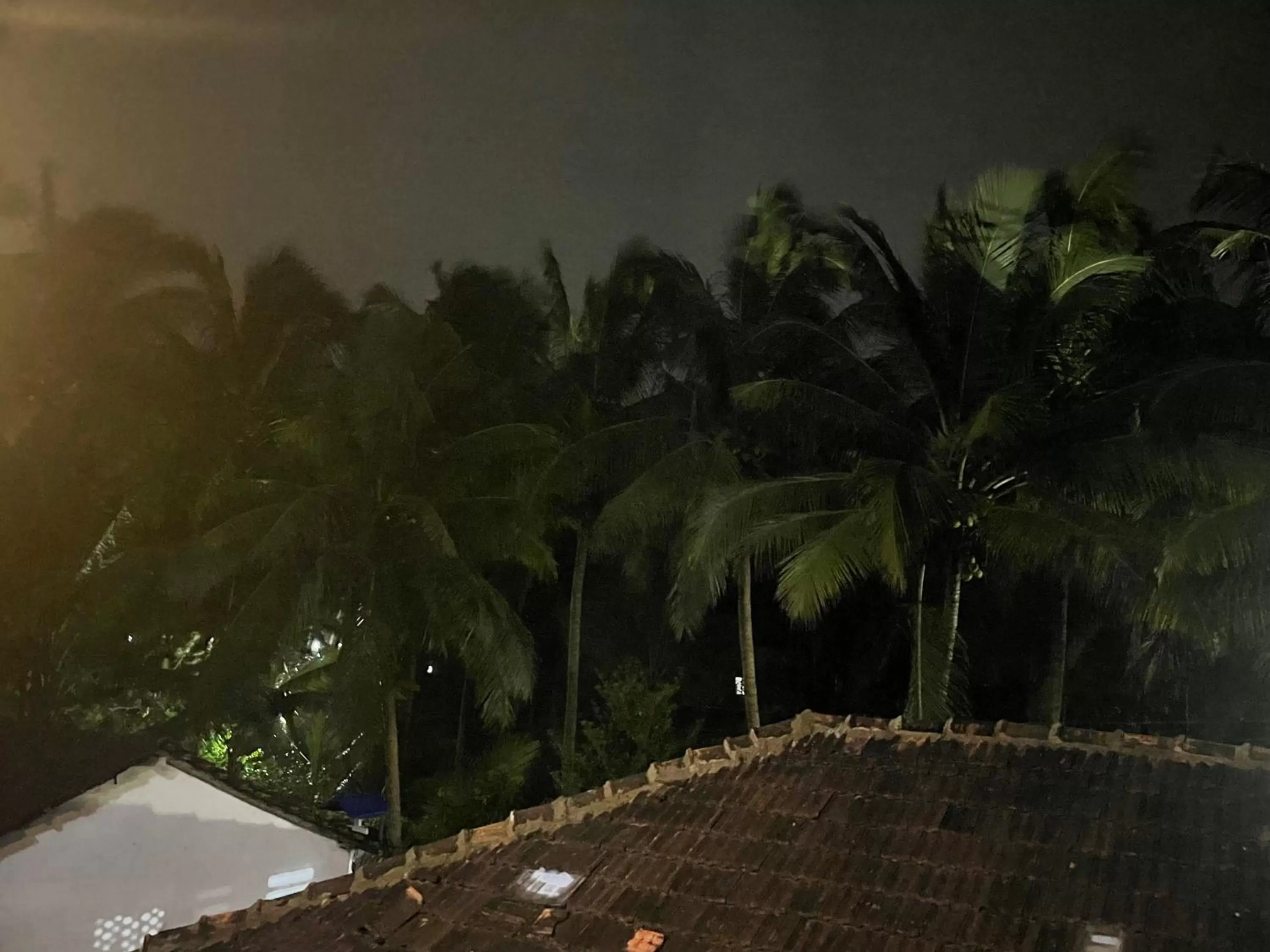 View (from property/room) in Calangute Beach Corner