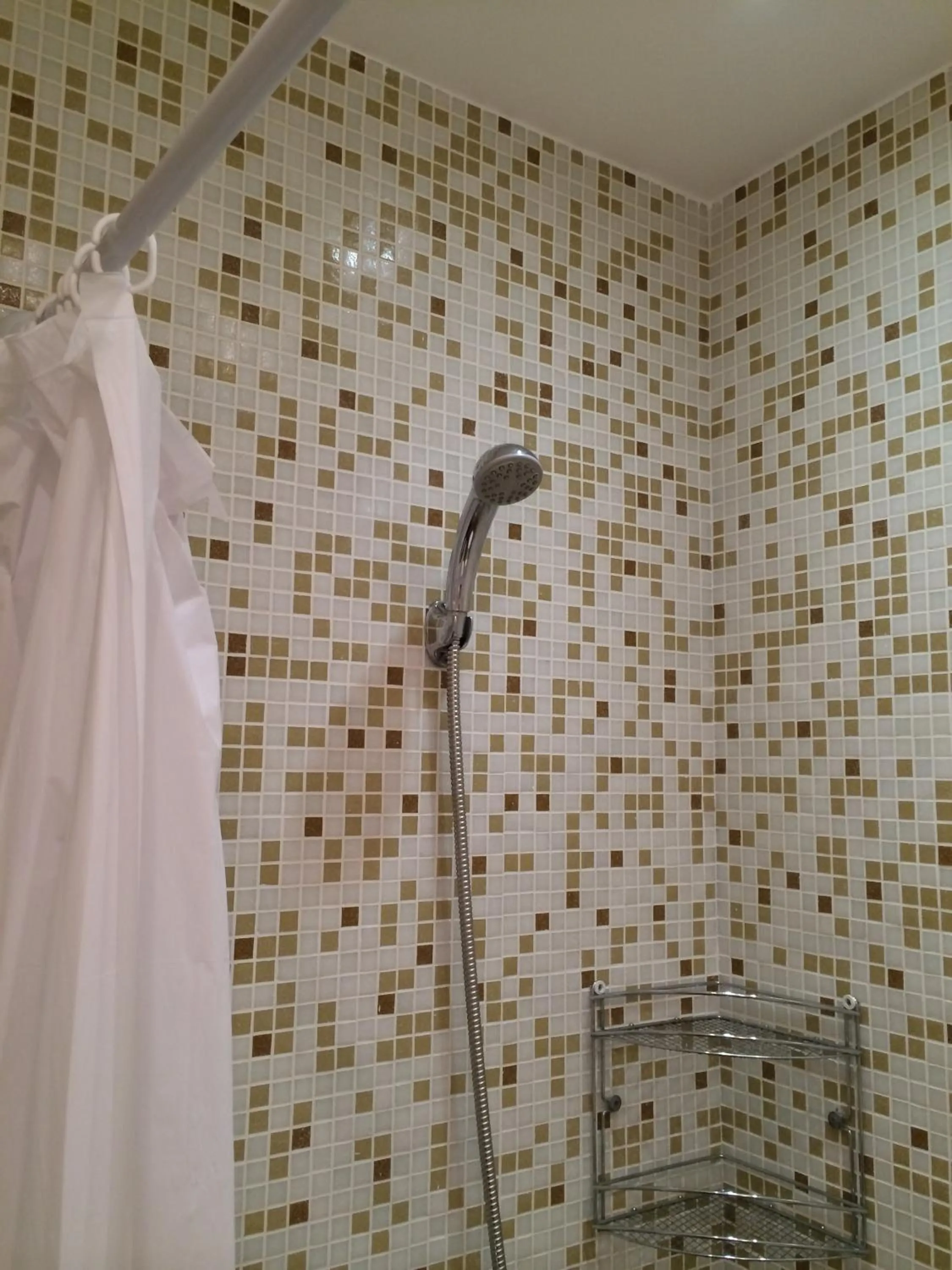 Shower in Family Hotel Dalis