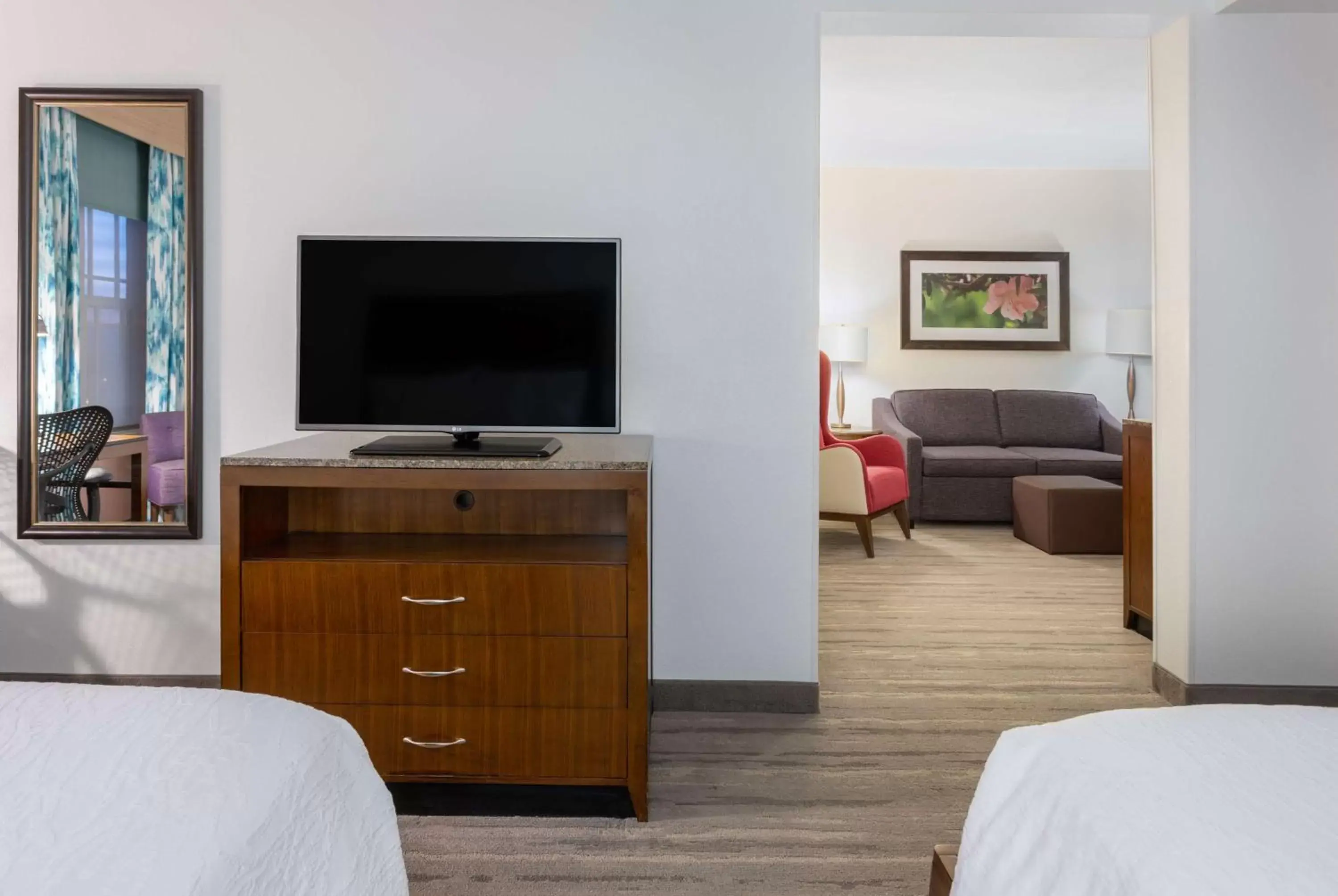 Bed, TV/Entertainment Center in Hilton Garden Inn Roanoke