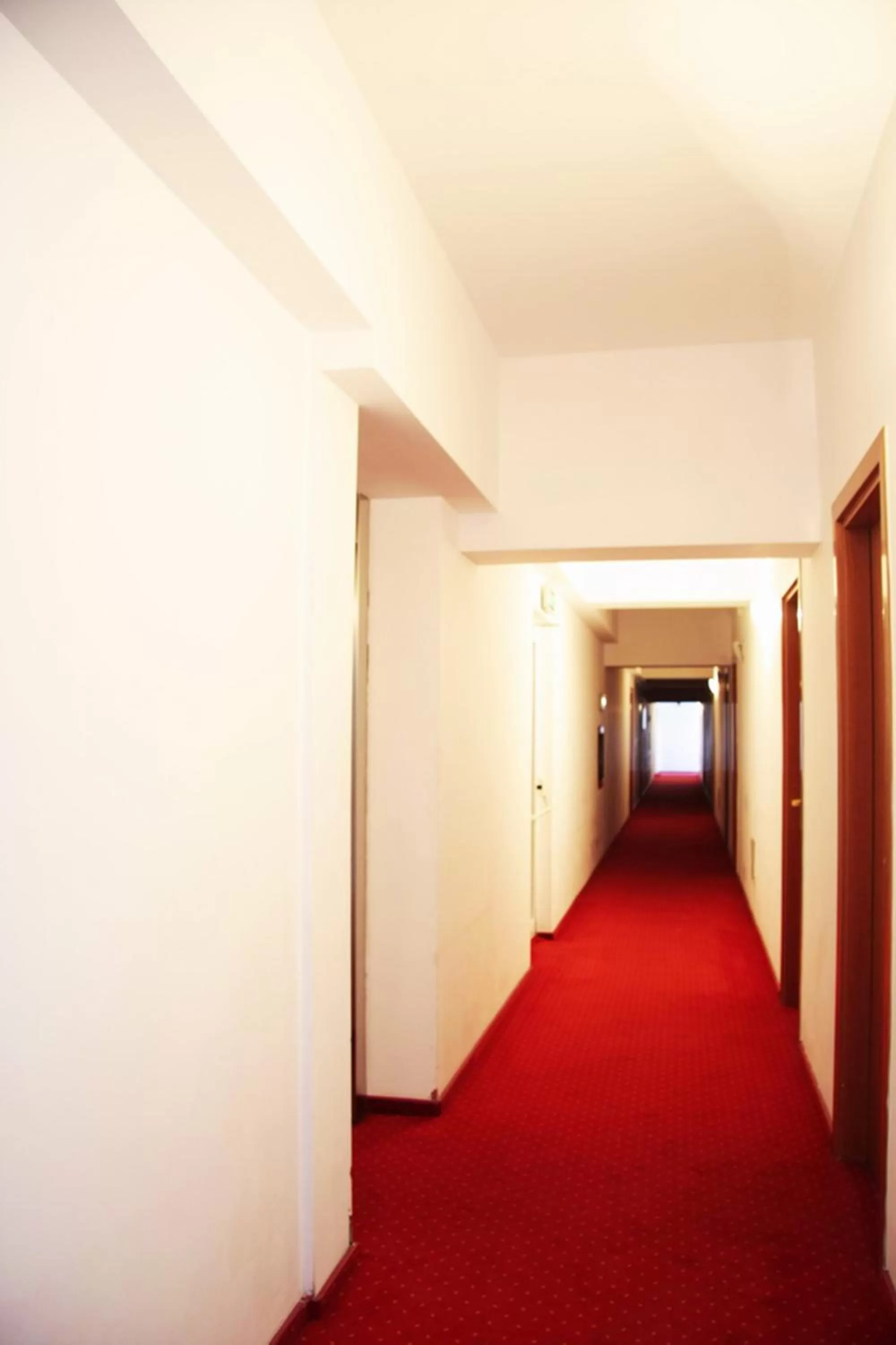 Lobby or reception in Hotel Sir Orhideea