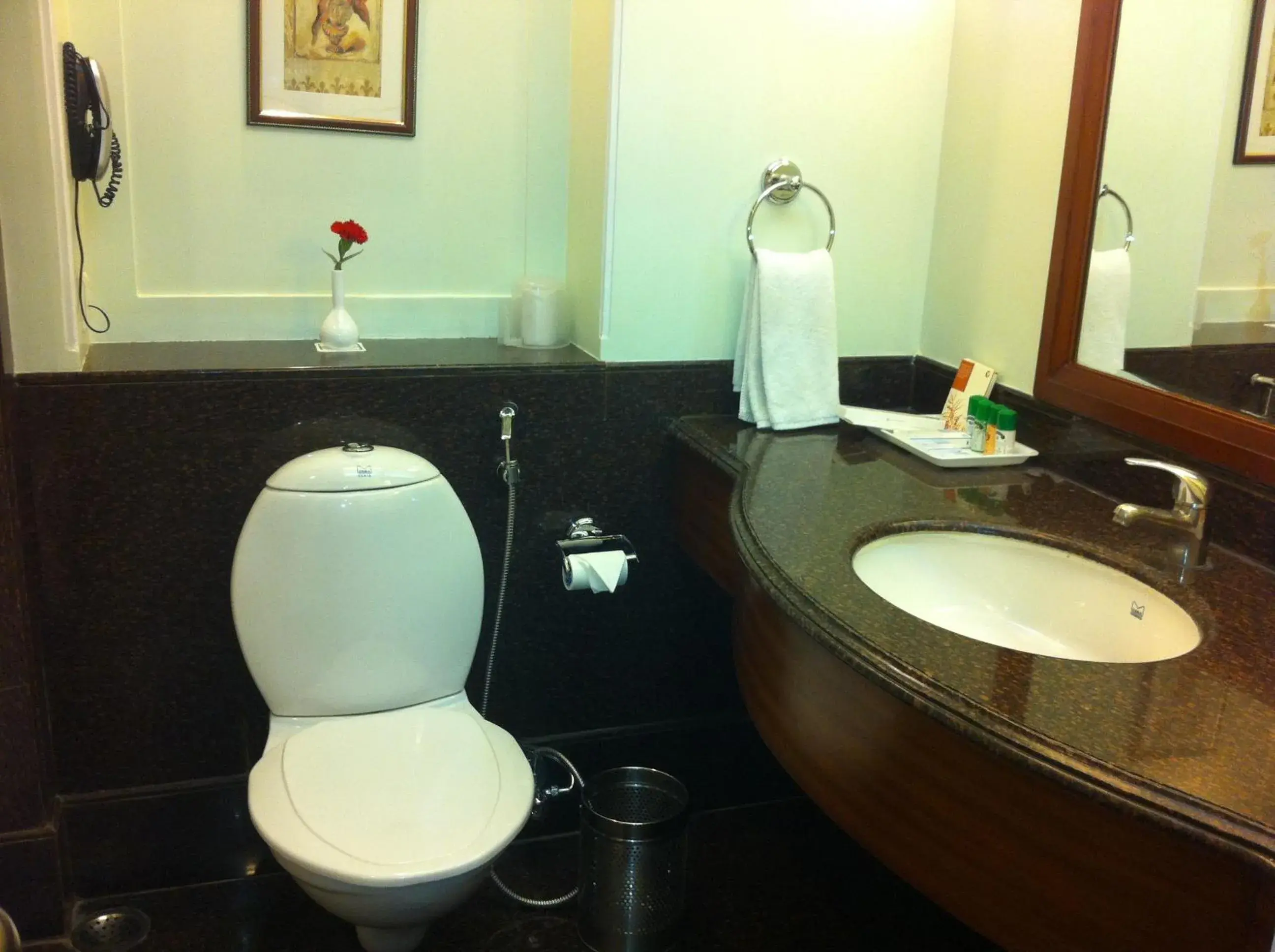 Bathroom in Clarion Hotel Bella Casa