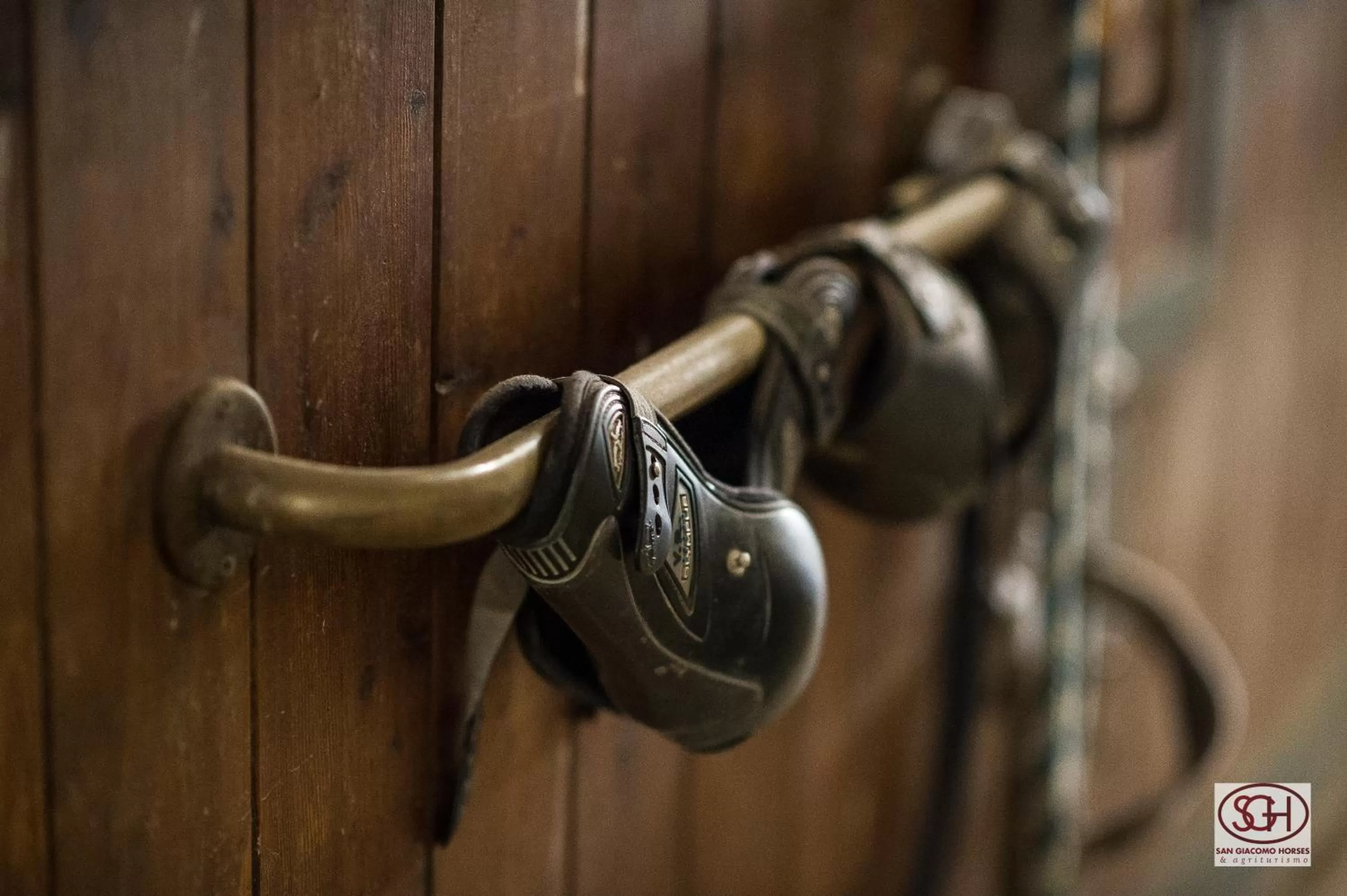 Animals in San Giacomo Horses & Agriturismo