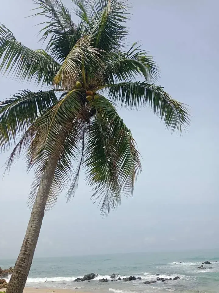 Sea view, Beach in The Sea @ Lanta Hotel