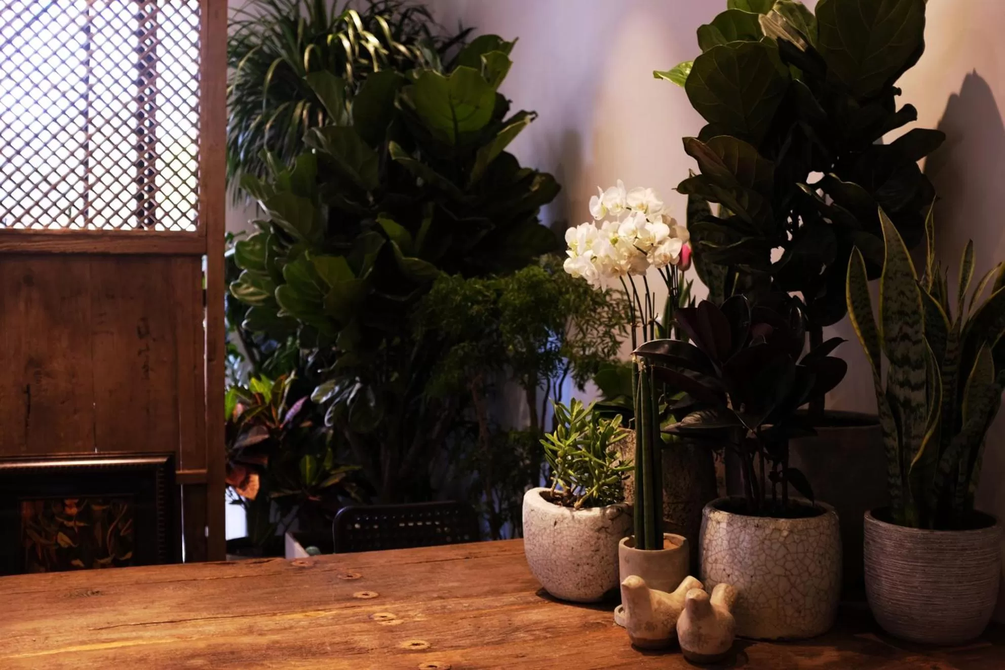 Lounge or bar in Beijing Shangchao Hotel