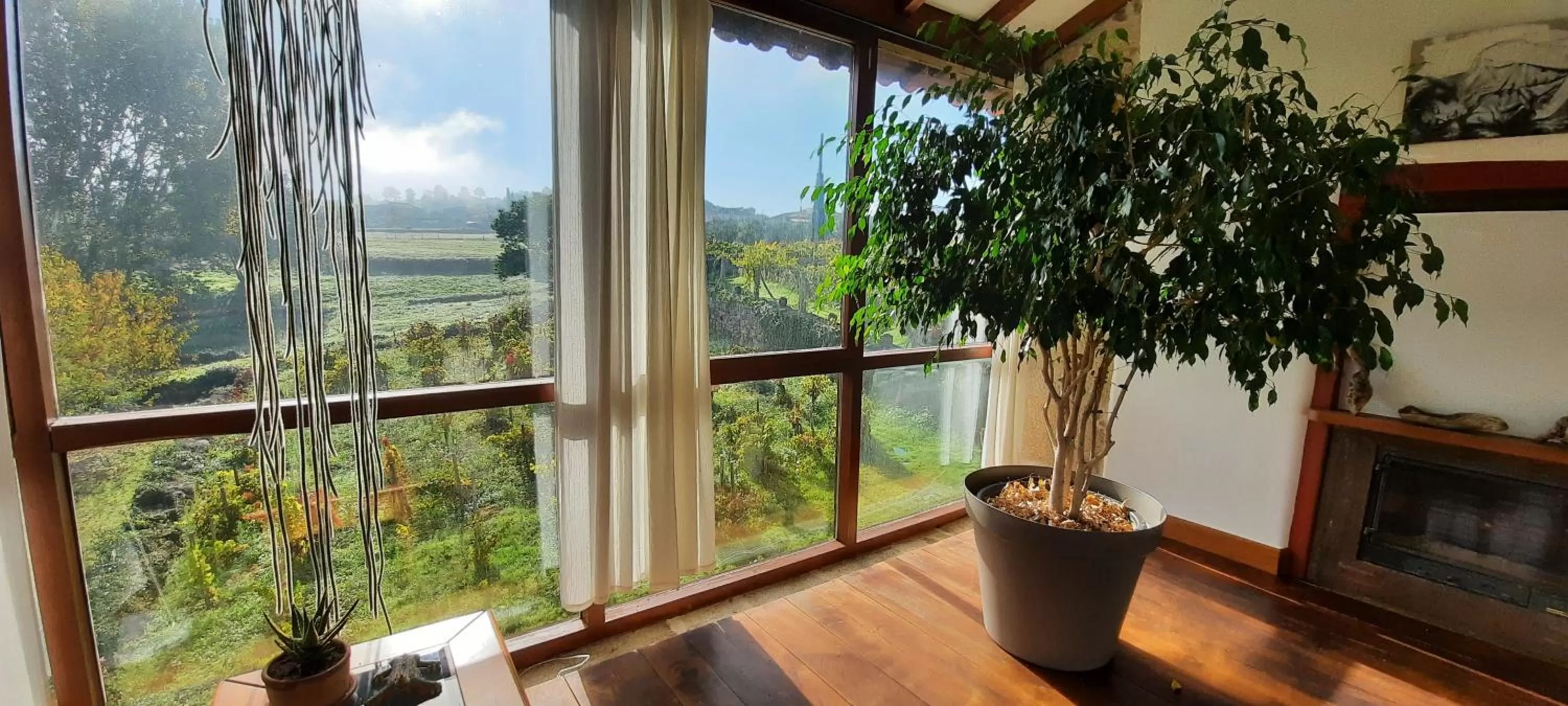 Garden view in Rectoral de Anllo