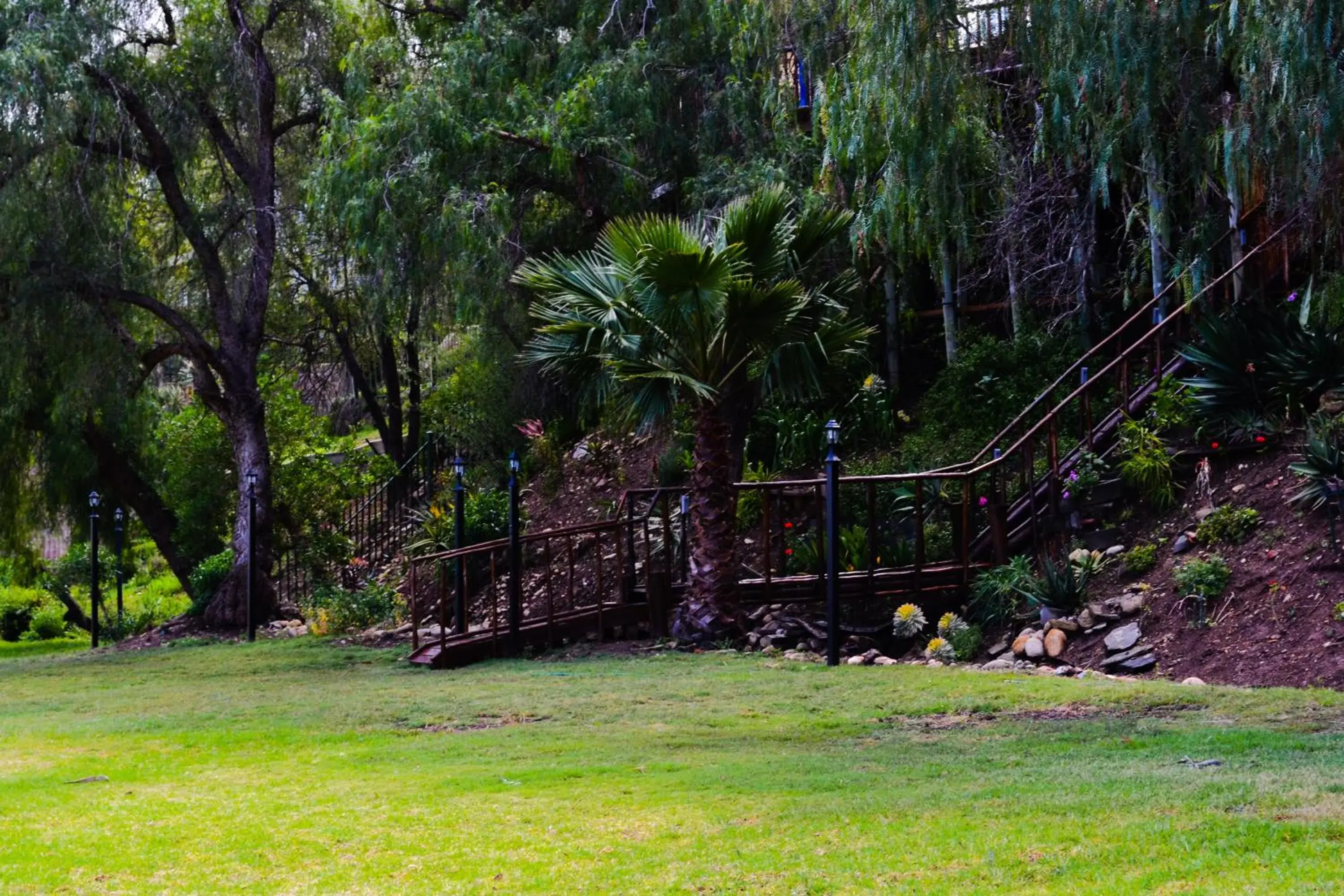 Garden view in Riverside Guest Lodge Garden view in Riverside Guest Lodge