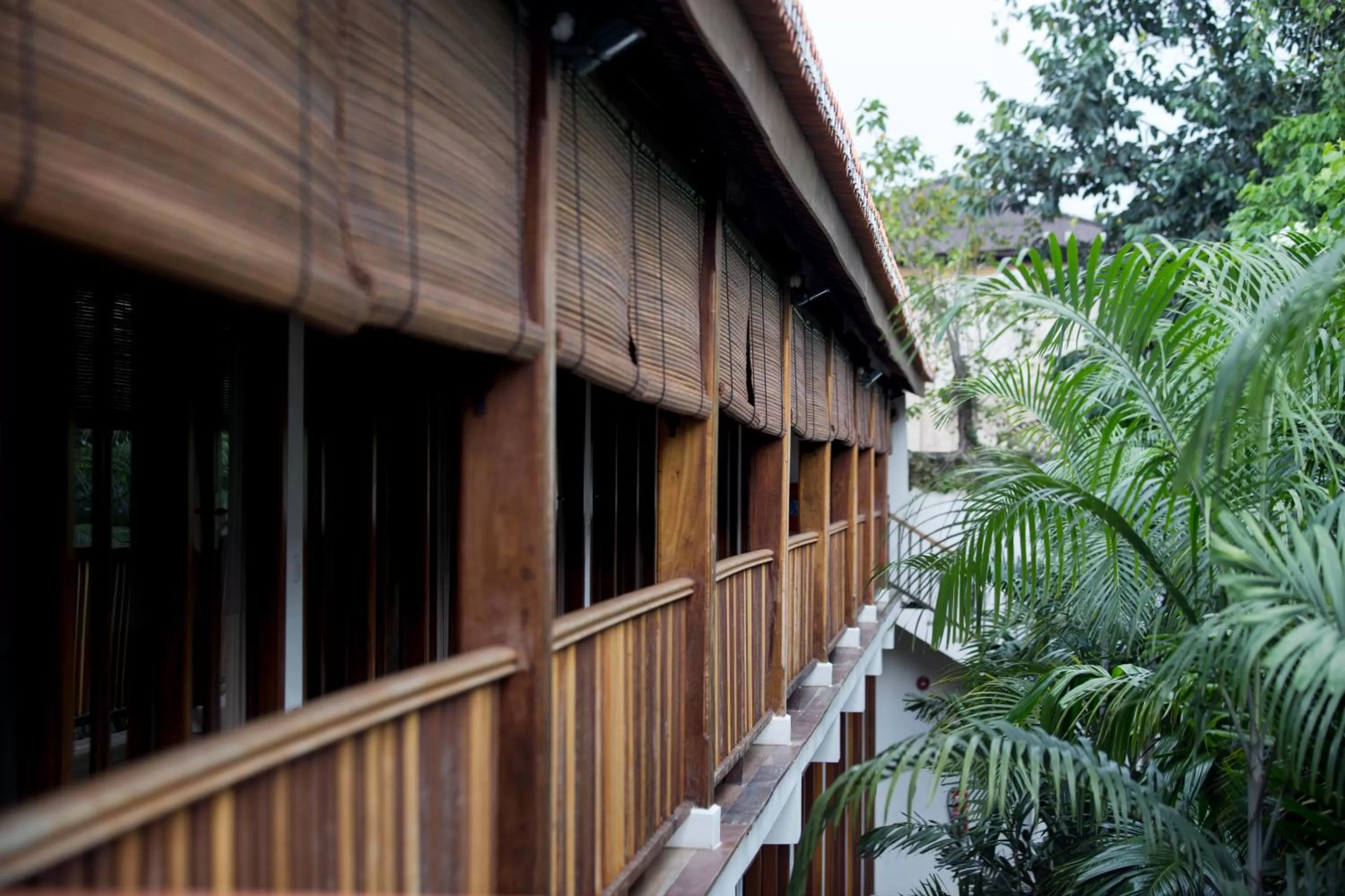 Area and facilities in Muntri Grove