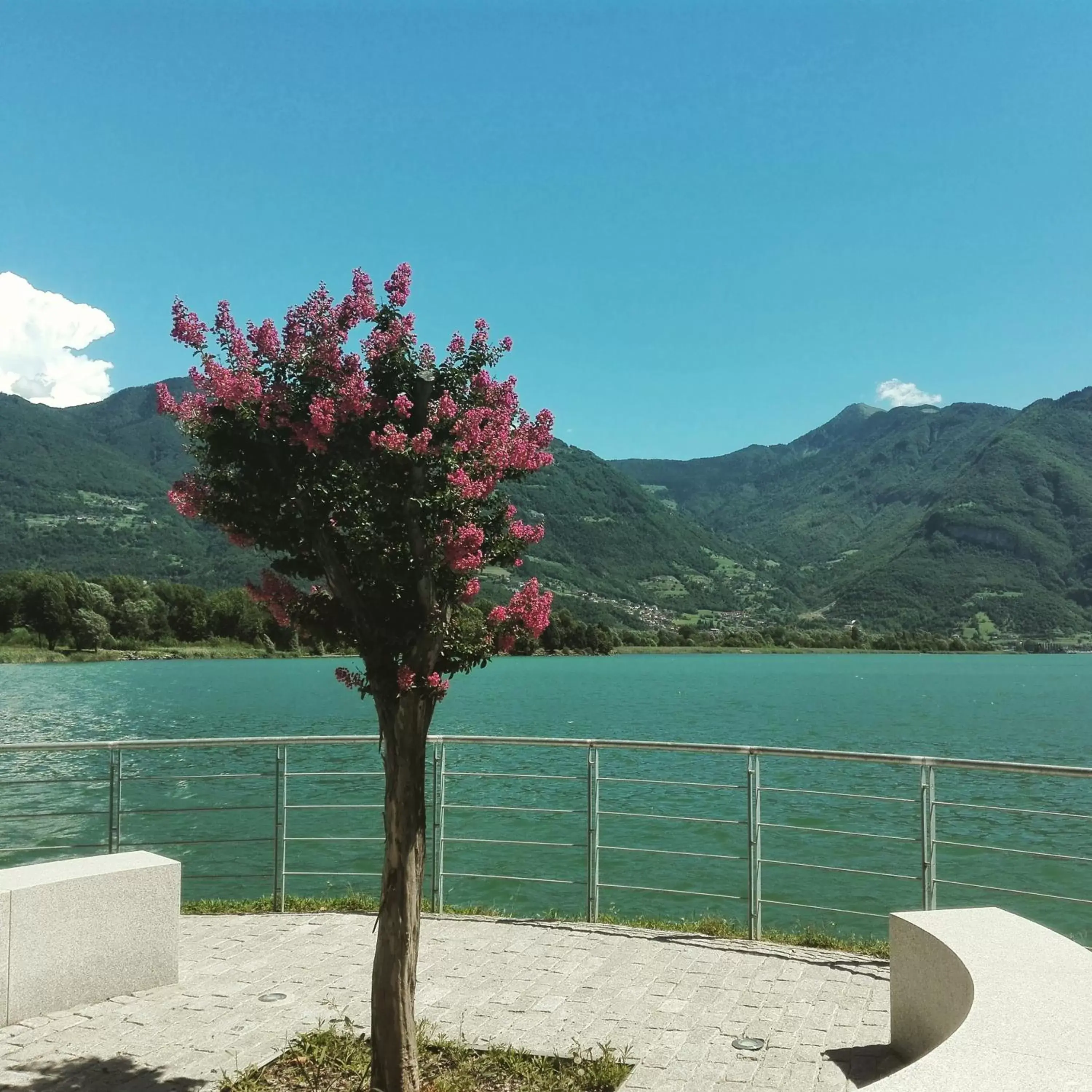 Lake view, Mountain View in Bed & Breakfast Villa Palma