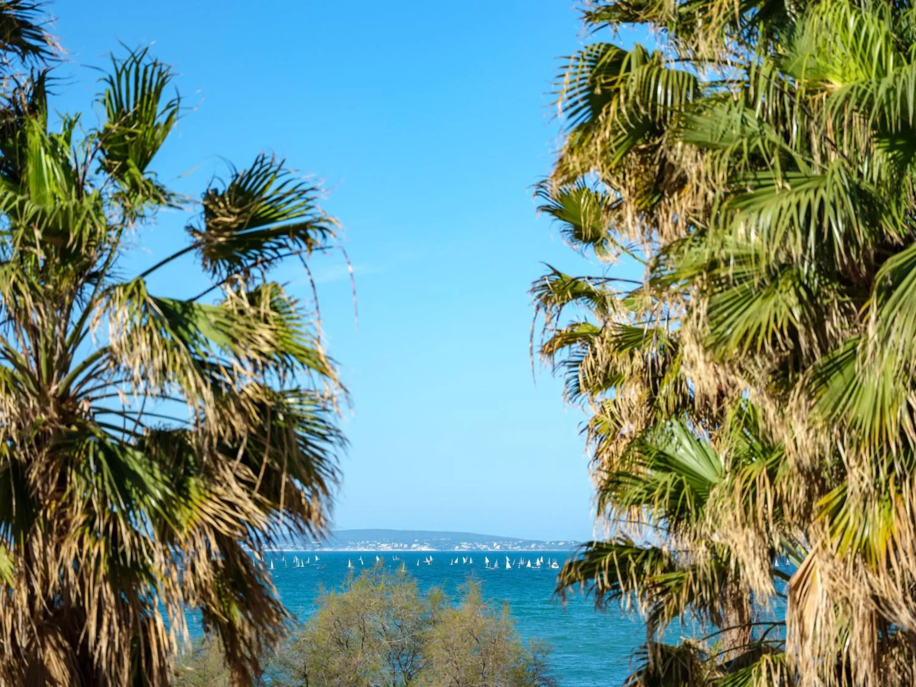 Sea View in Hotel Ciutat Jardi