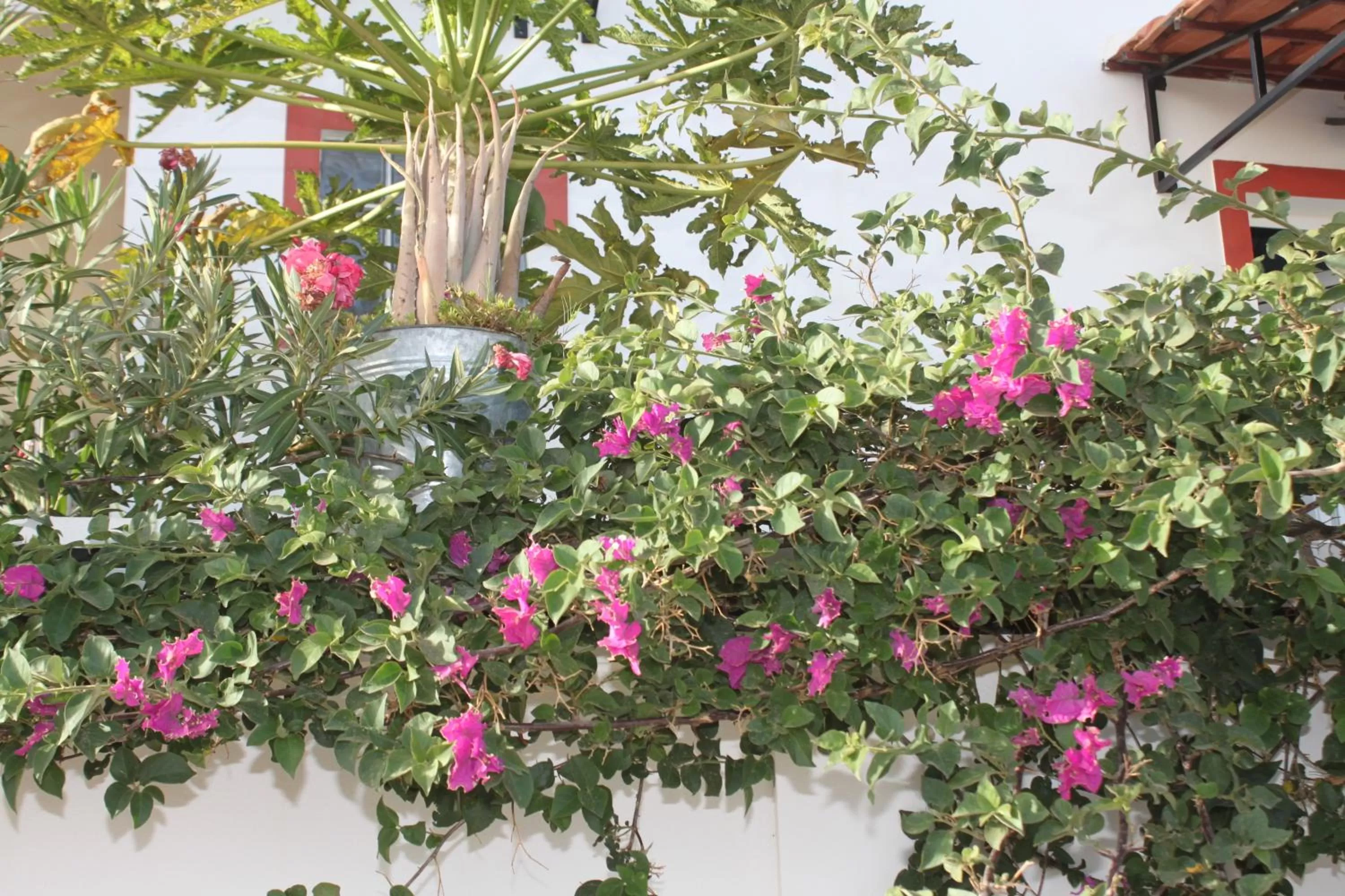 Day in Yria Residencial