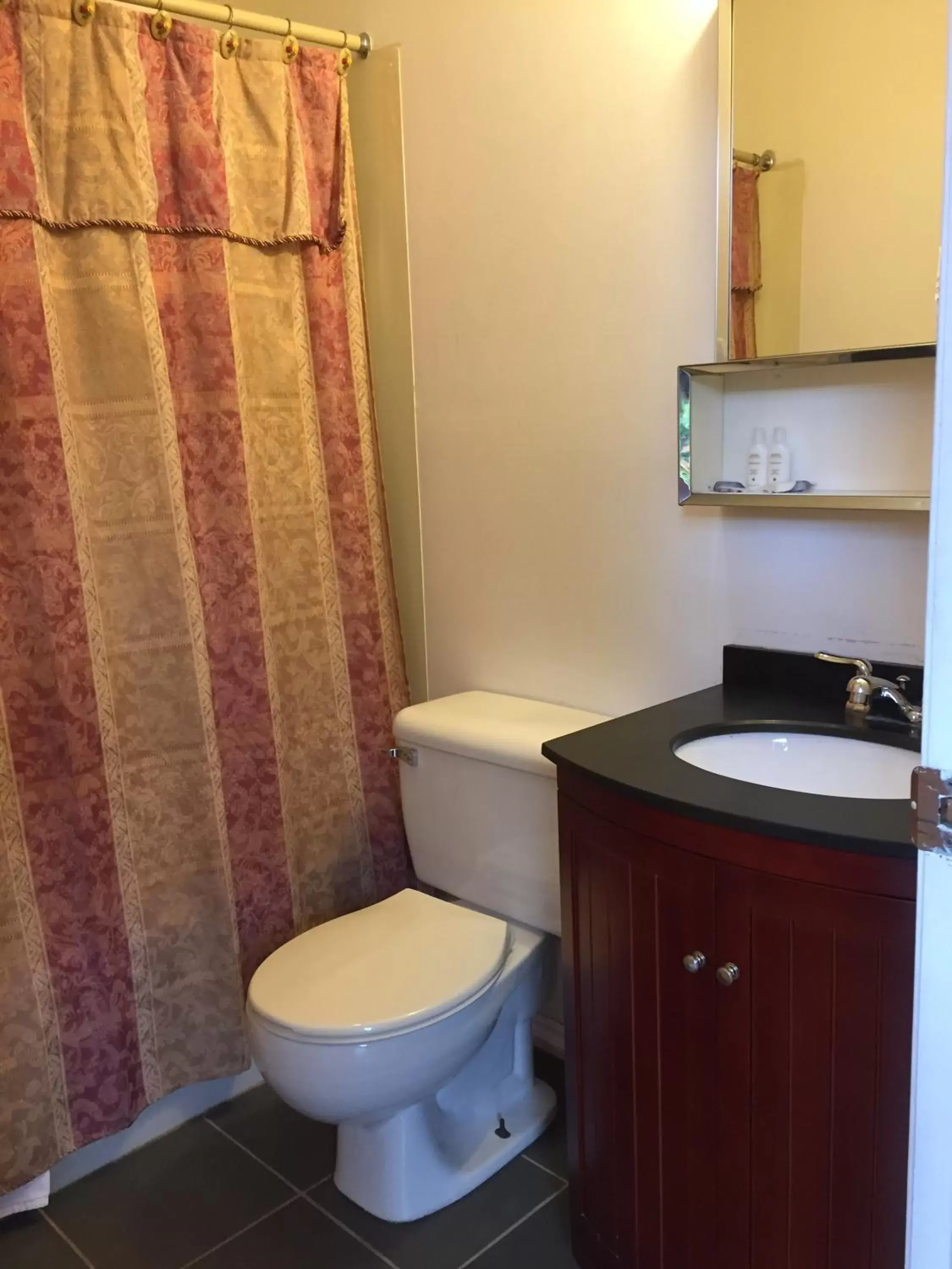 Bathroom in Holiday House Motel