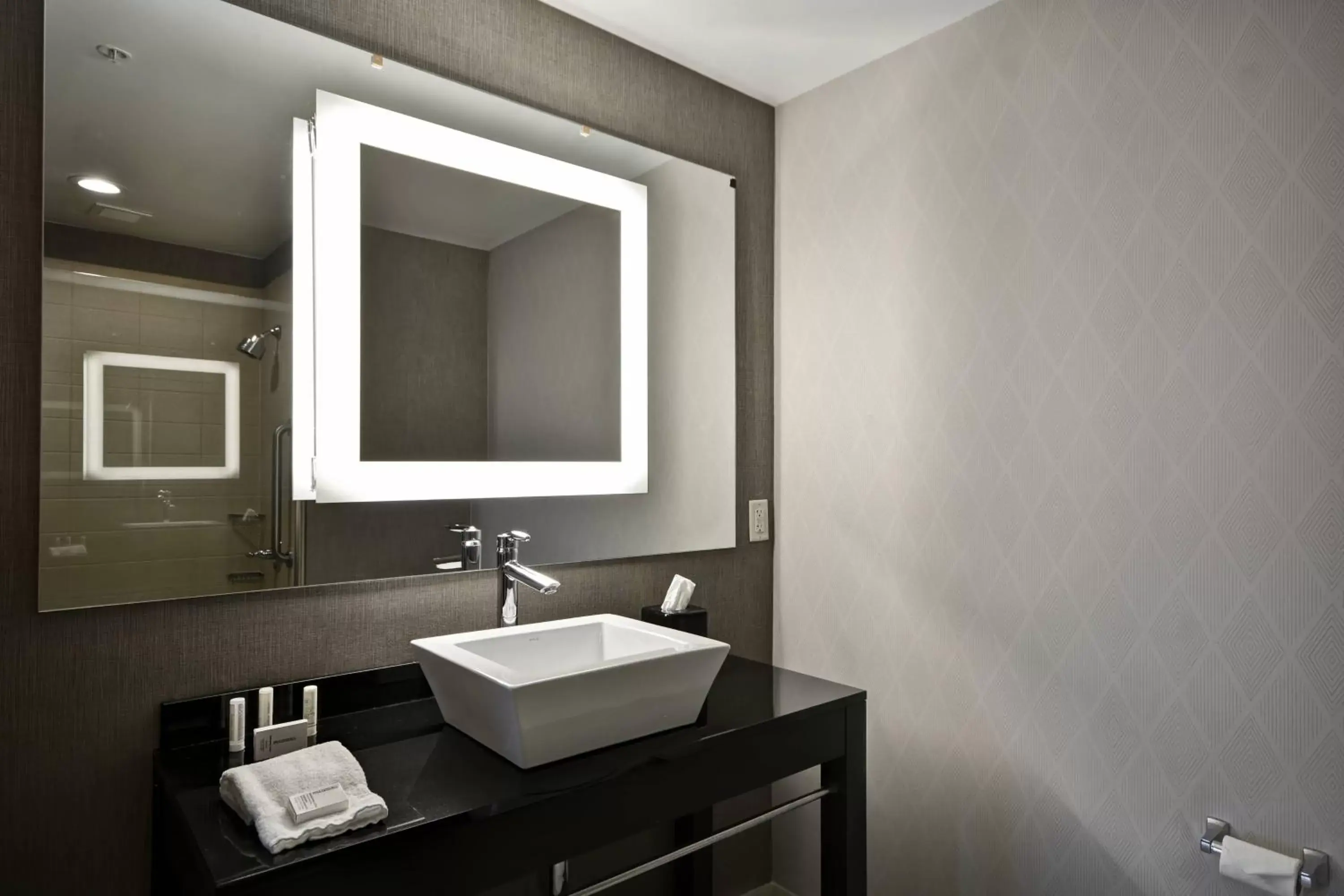 Bathroom in SpringHill Suites by Marriott Indianapolis Airport/Plainfield