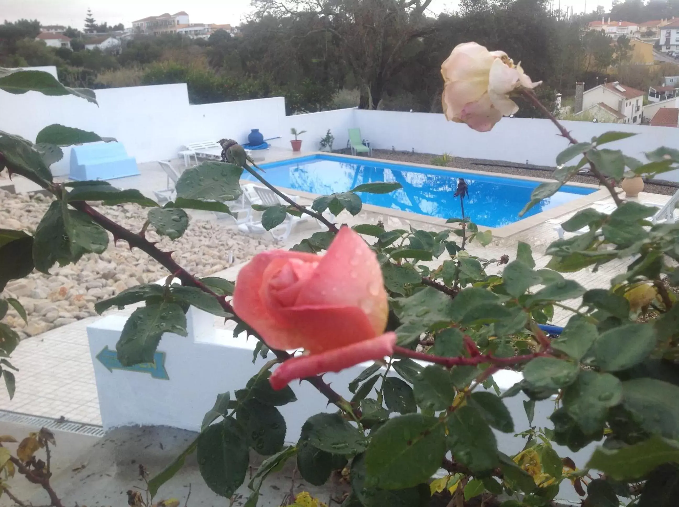 , Swimming Pool in Casa do Loureiro Branco