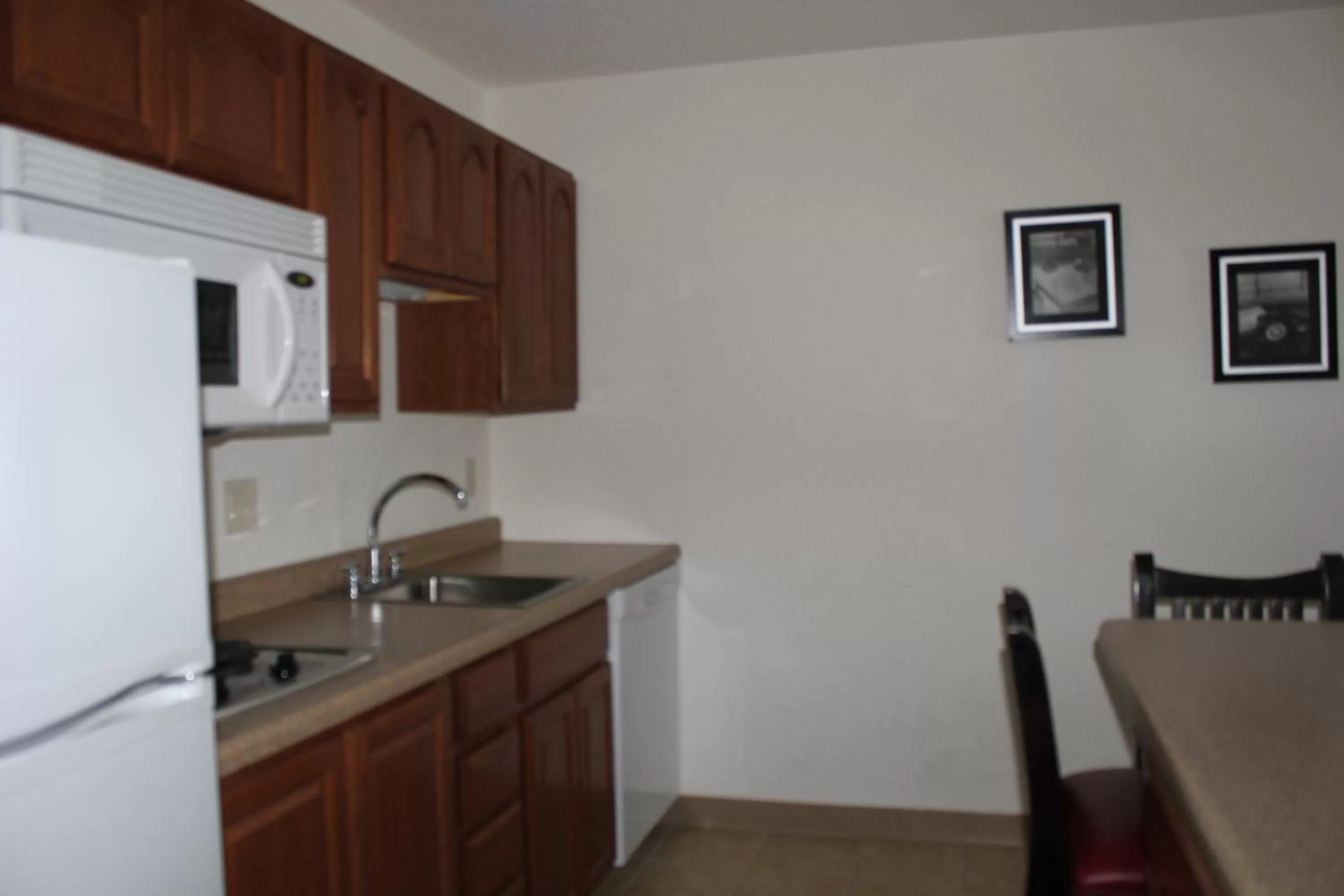 Kitchen or kitchenette in Nichols Inn of Red Wing