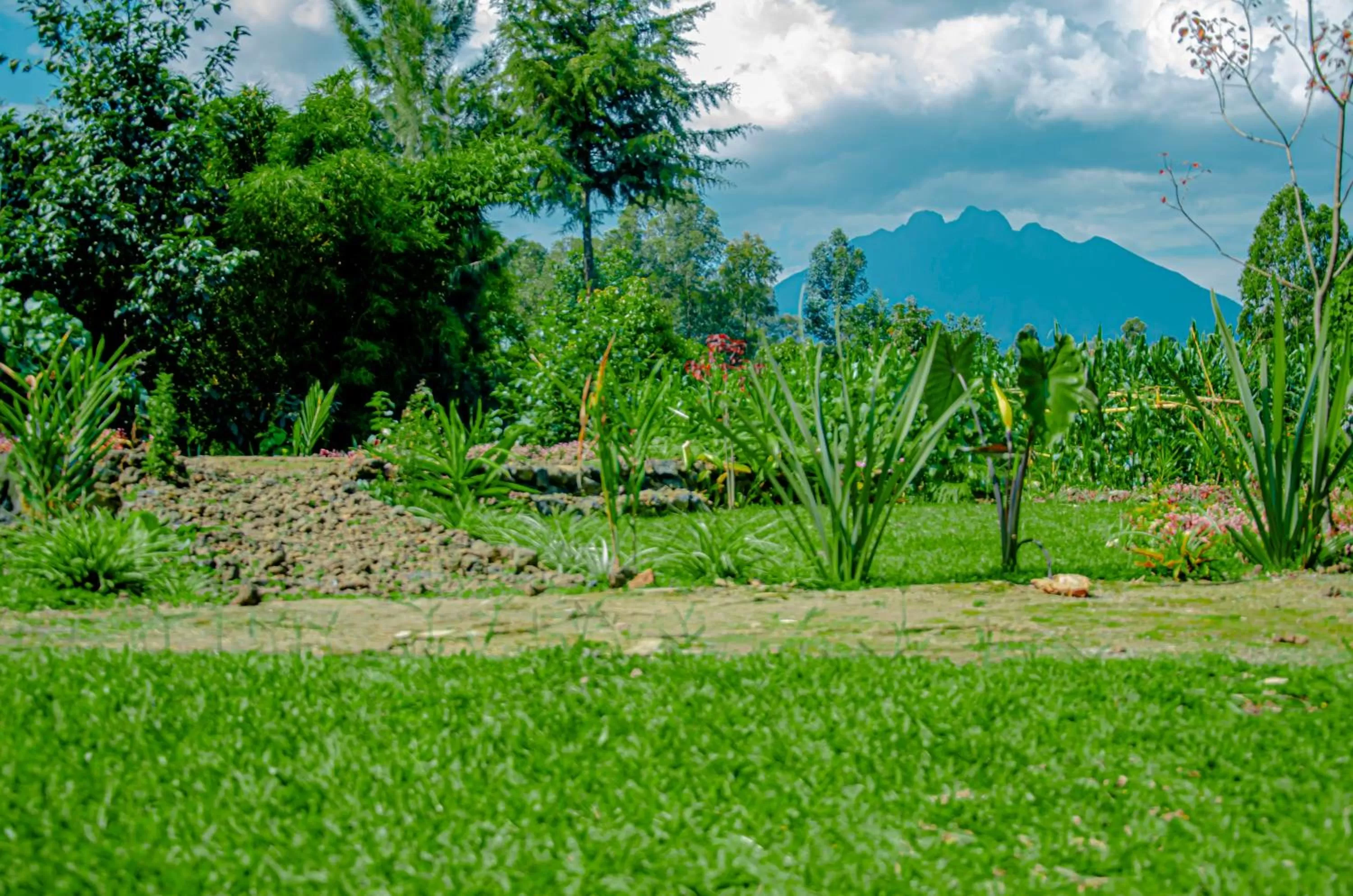 View (from property/room), Garden in Fravan Eco Resort By Apogee