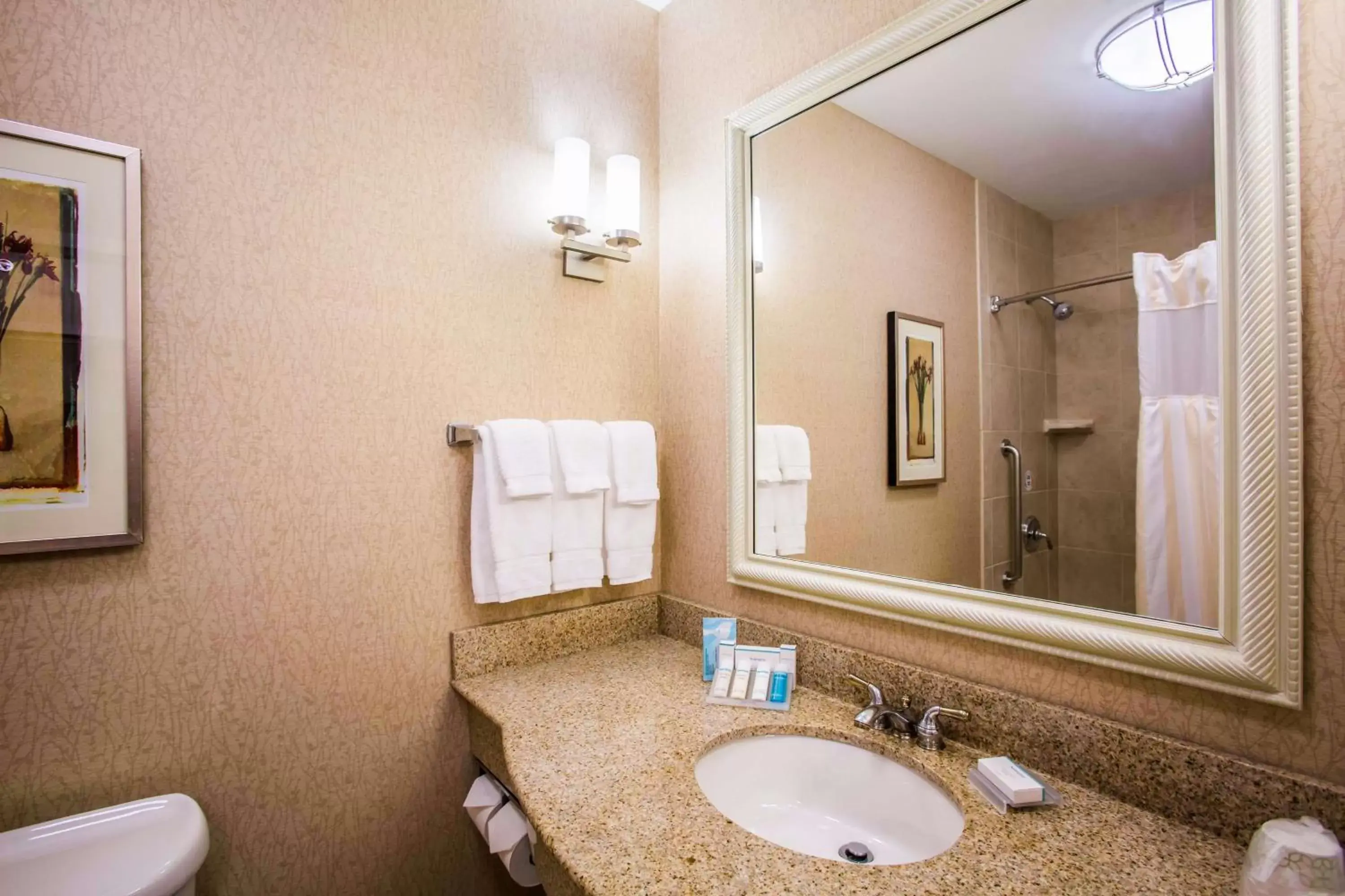 Bathroom in Hilton Garden Inn Milwaukee Northwest Conference Center Bathroom in Hilton Garden Inn Milwaukee Northwest Conference Center