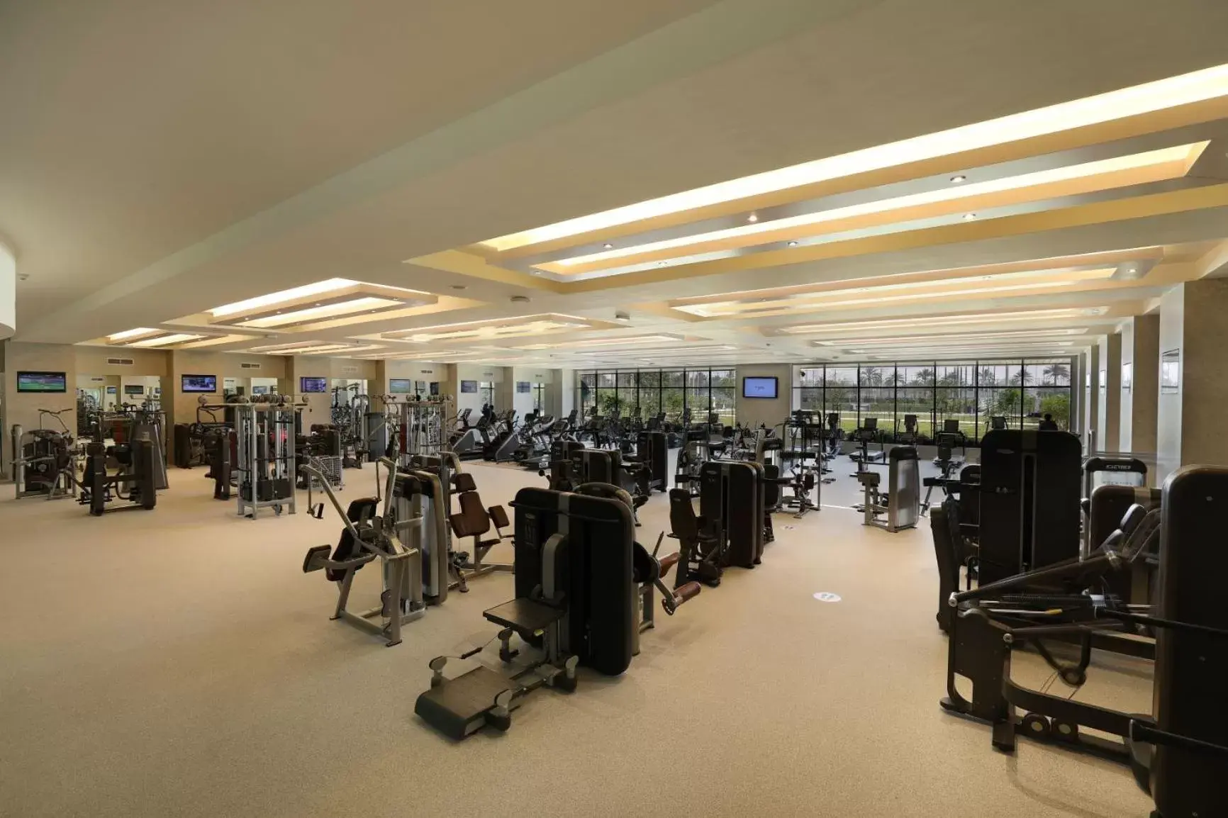 Fitness centre/facilities, Fitness Center/Facilities in ERTH Hotel