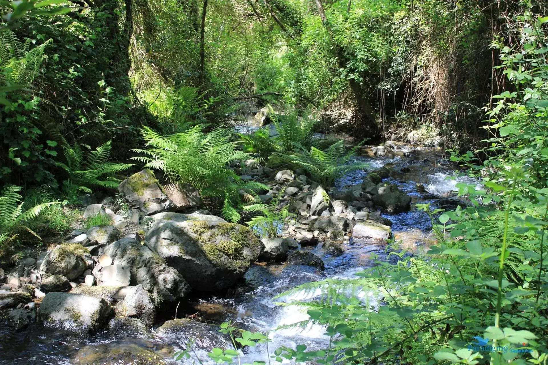 Natural Landscape in Residencial Martinho