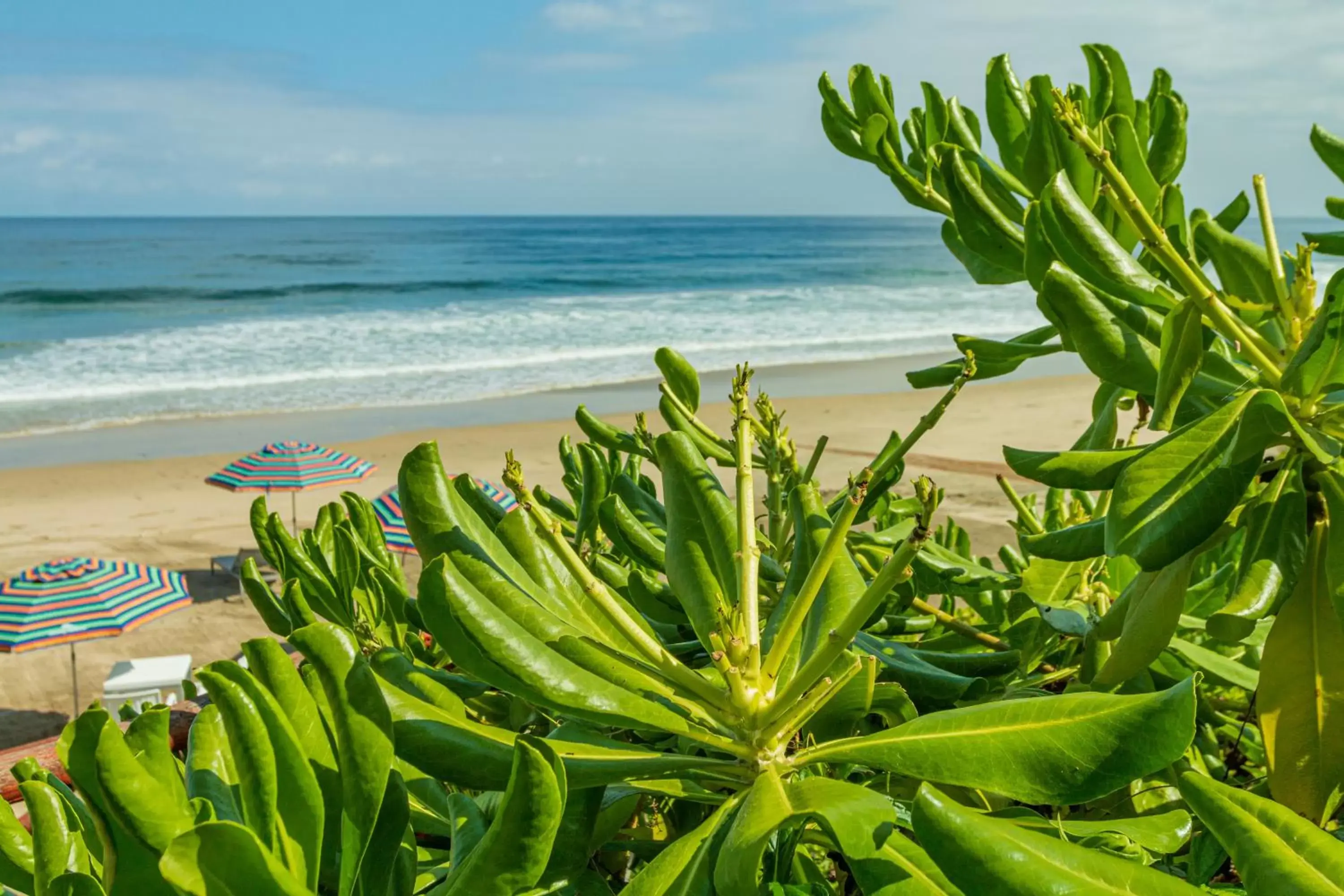 Sea view in Hotel Xiobella Adults Only Punta de Mita