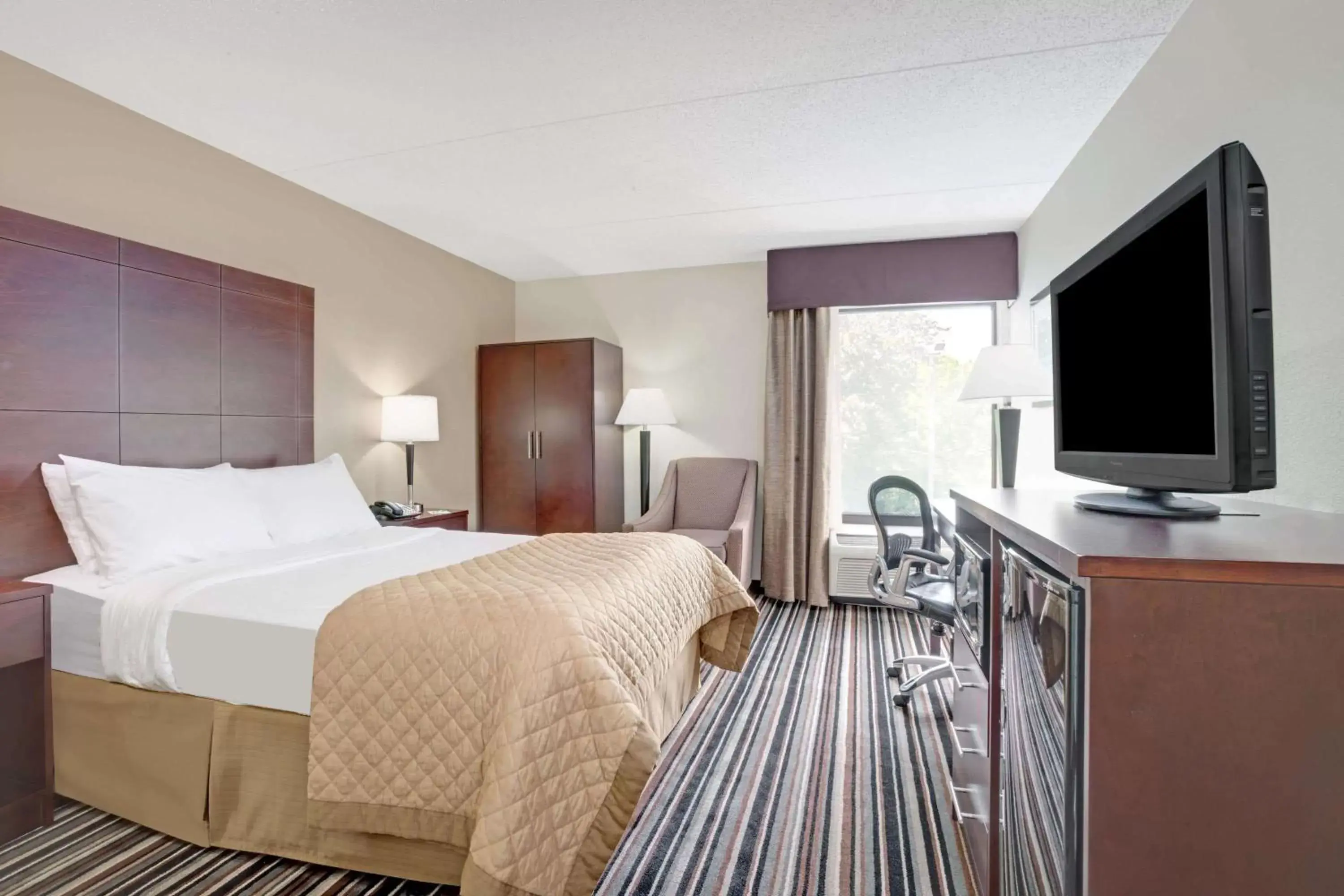 Photo of the whole room, TV/Entertainment Center in Wyndham Garden Charlotte Airport Southeast