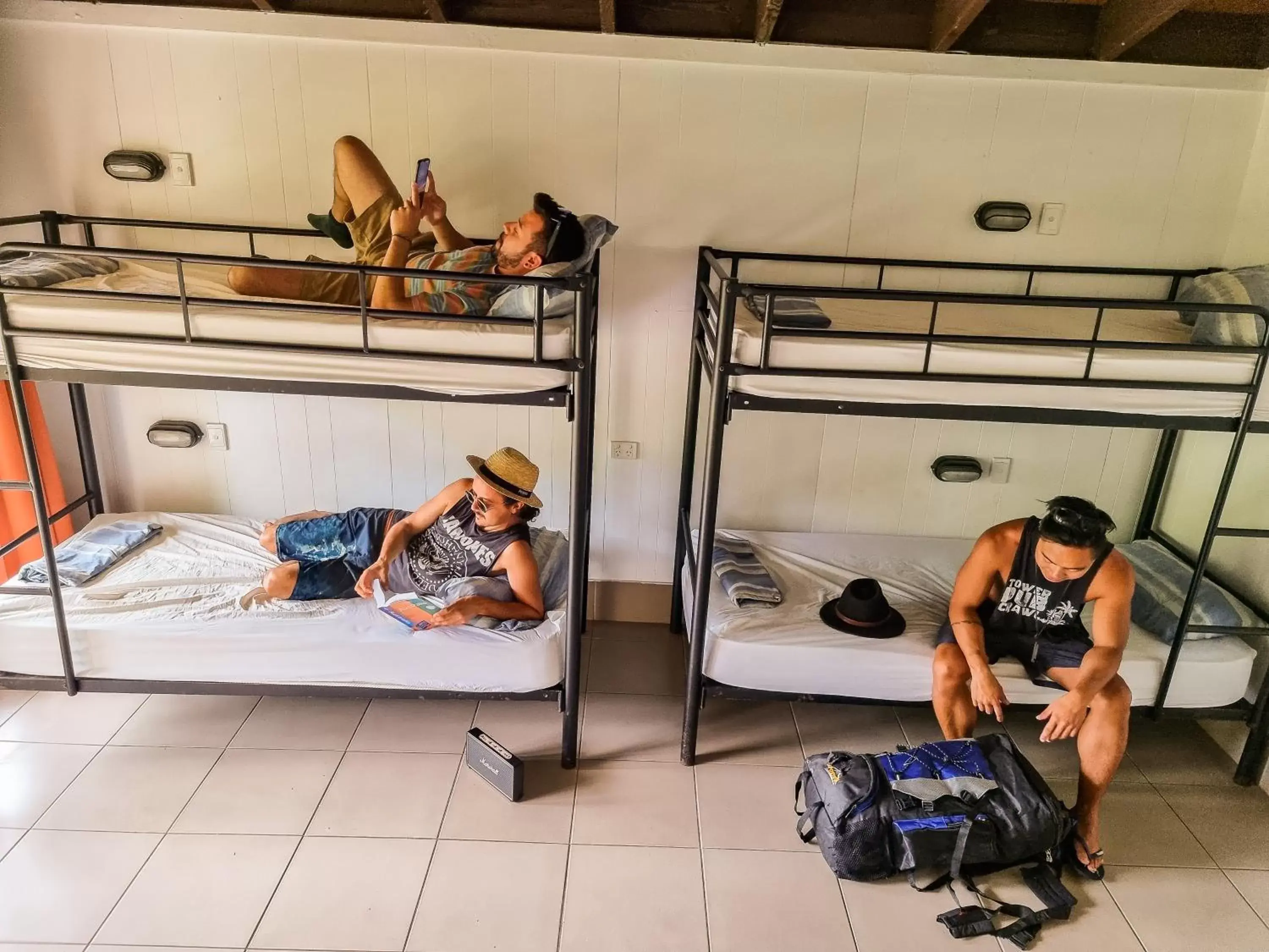 People, Bunk Bed in Nomads Airlie Beach Hotel