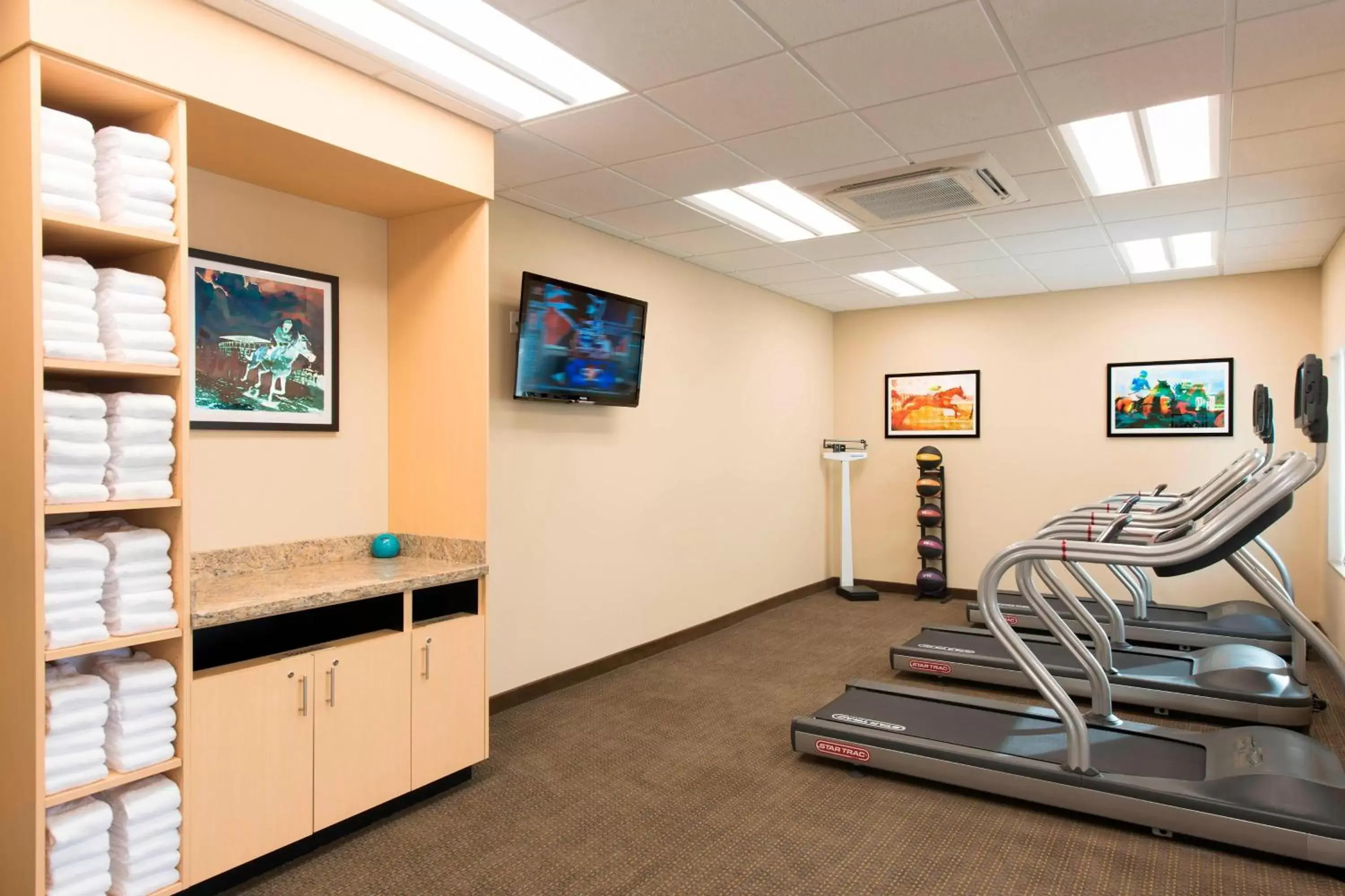 Fitness centre/facilities, Fitness Center/Facilities in TownePlace Suites by Marriott Lexington South/Hamburg Place