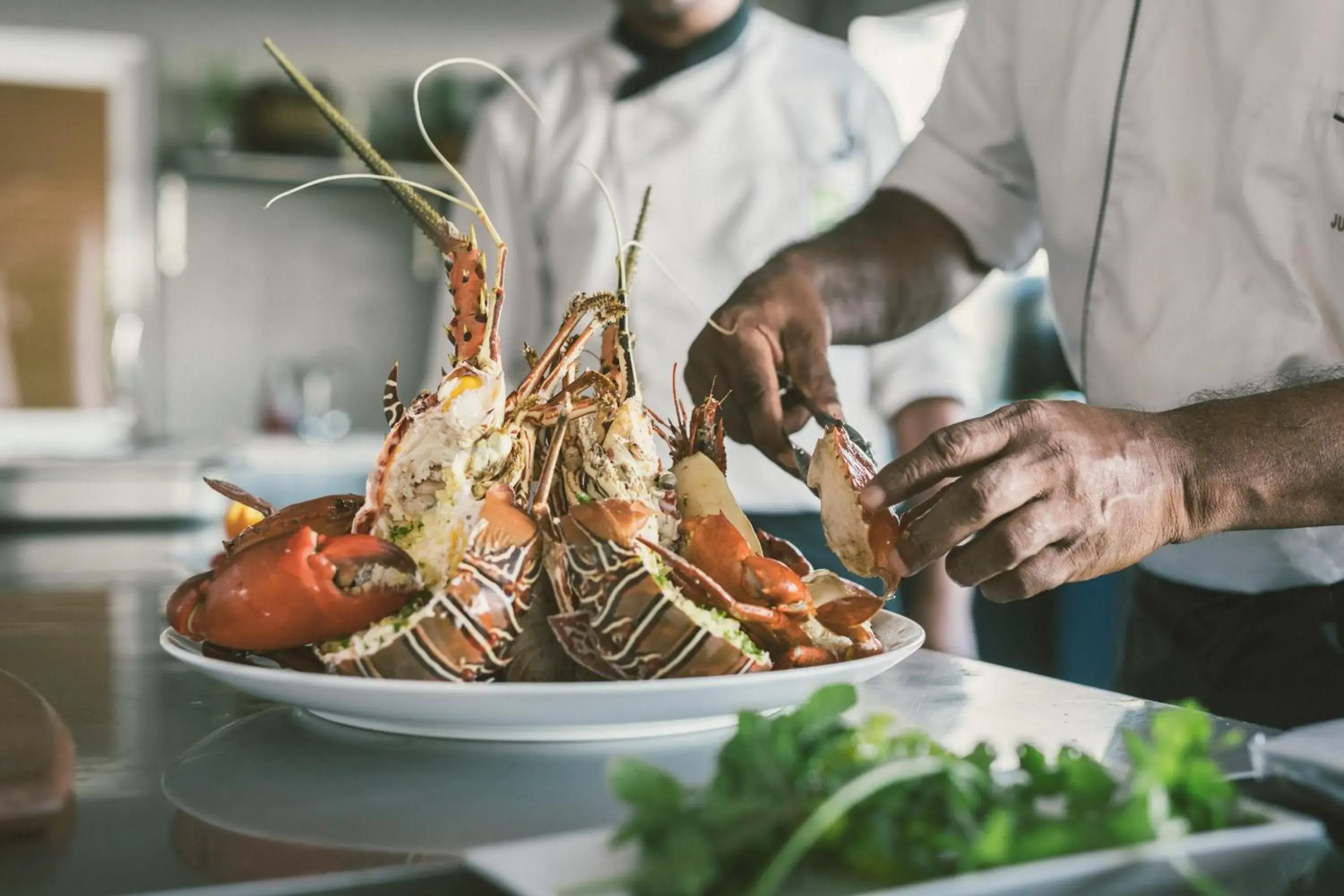 Food and drinks in Uga Jungle Beach - Trincomalee Food and drinks in Uga Jungle Beach - Trincomalee