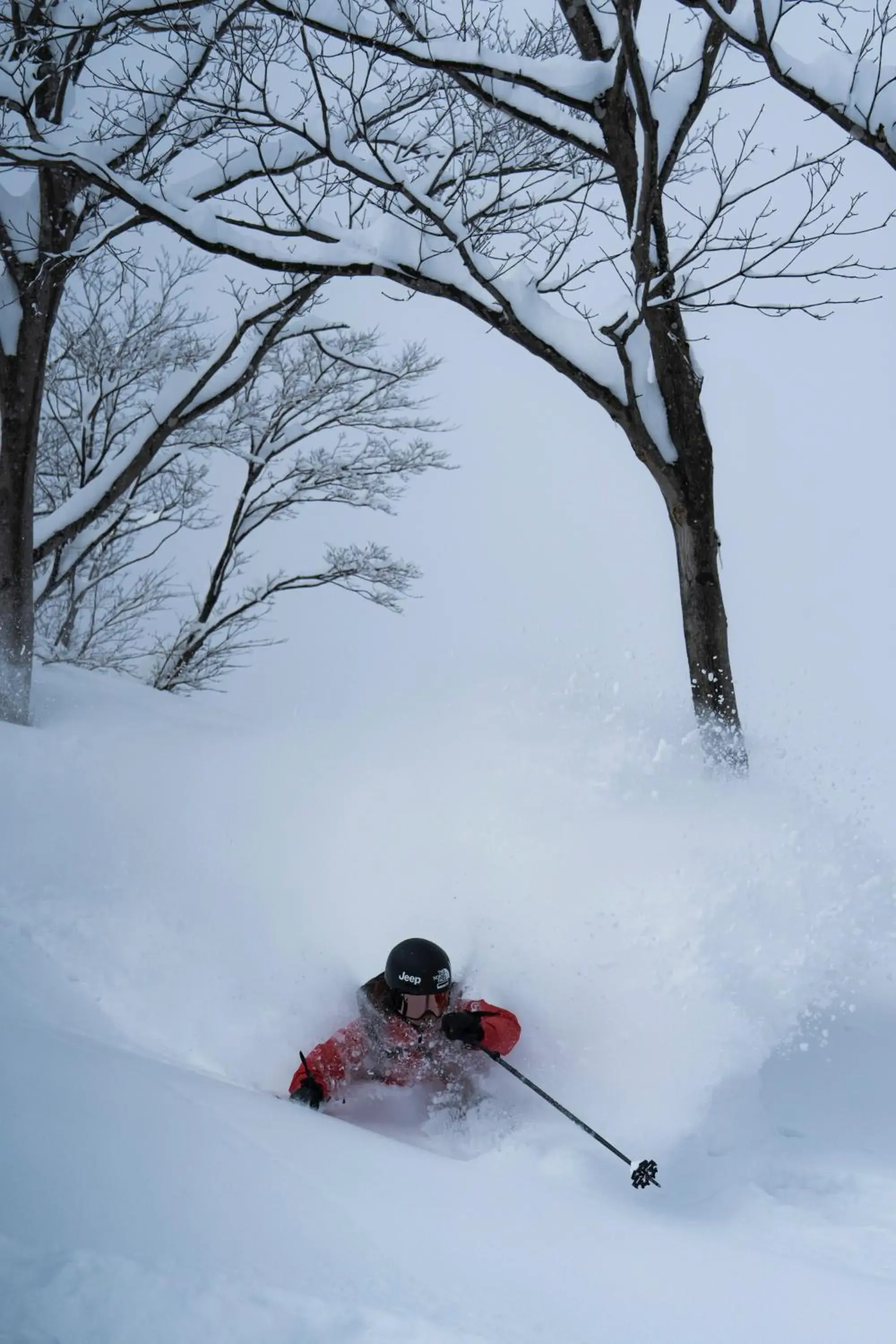 Winter in Lotte Arai Resort