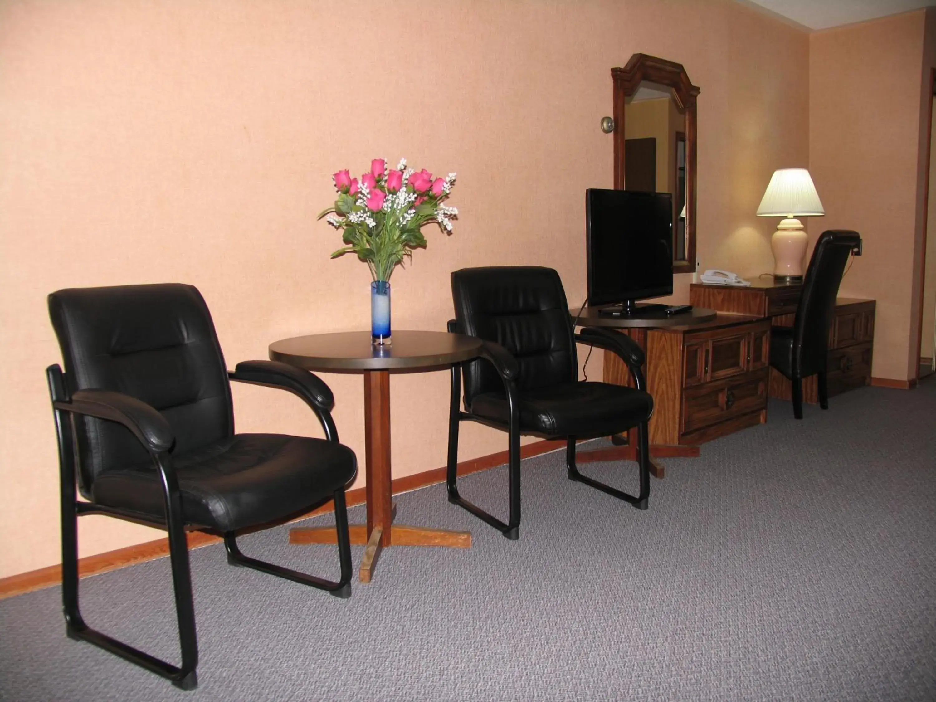 TV and multimedia, Seating Area in Seven Oakes Motel