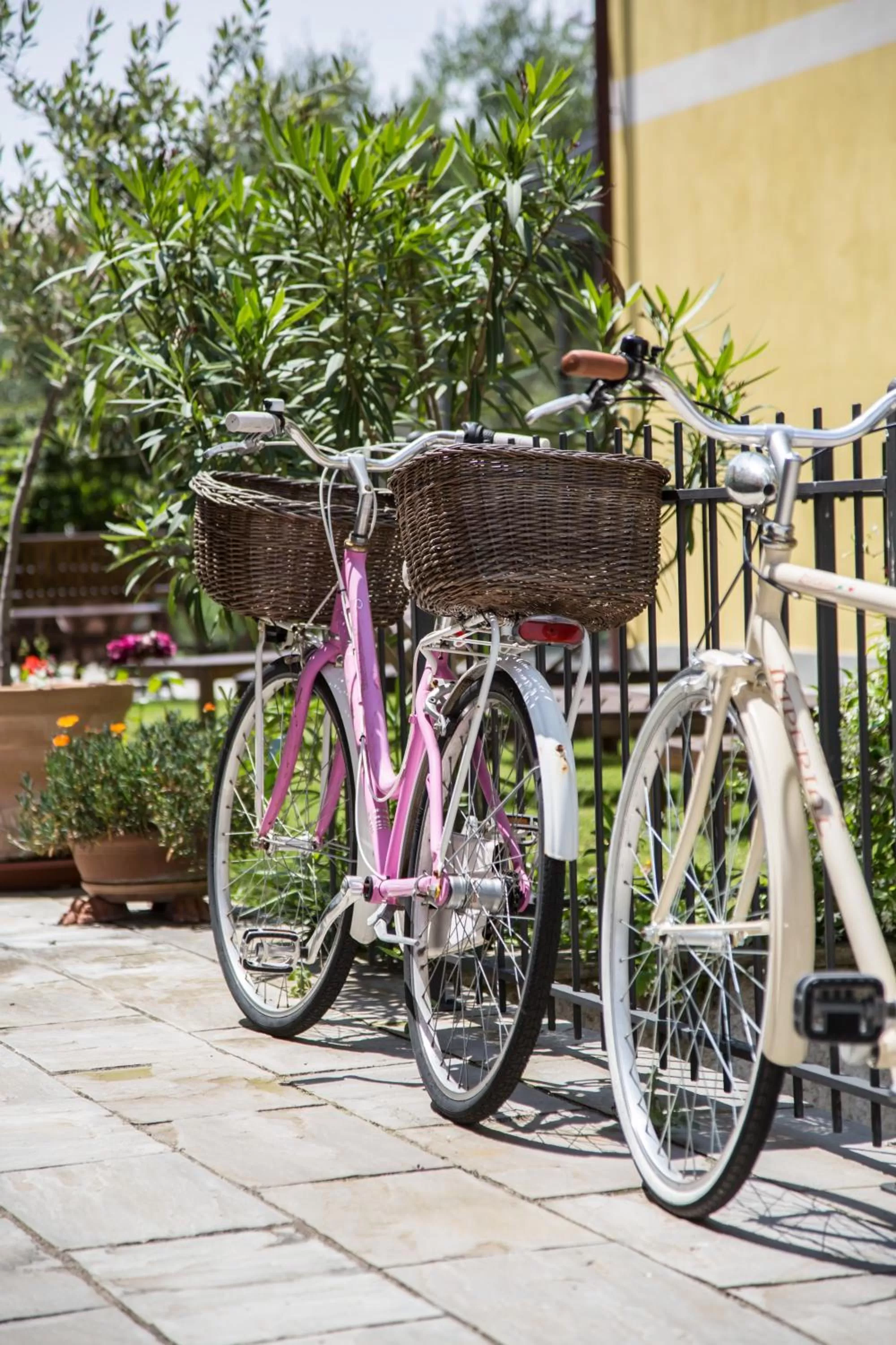 Cycling in Oasi Hotel