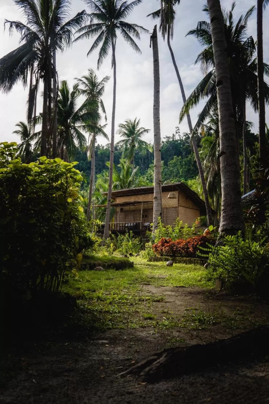 Prince John Beachfront Eco Bungalows and Restaurant