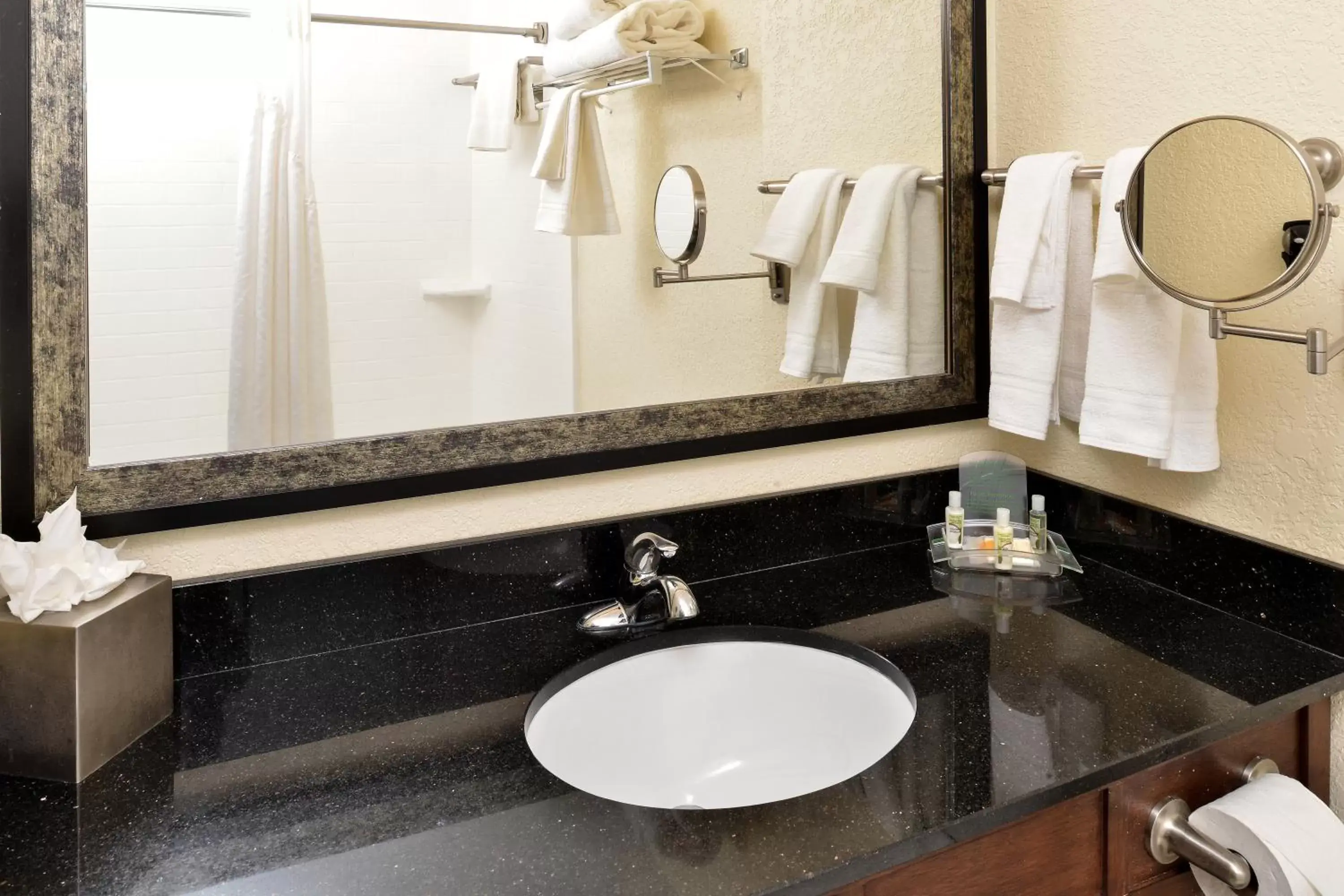 Bathroom in Holiday Inn Montgomery South Airport, an IHG Hotel