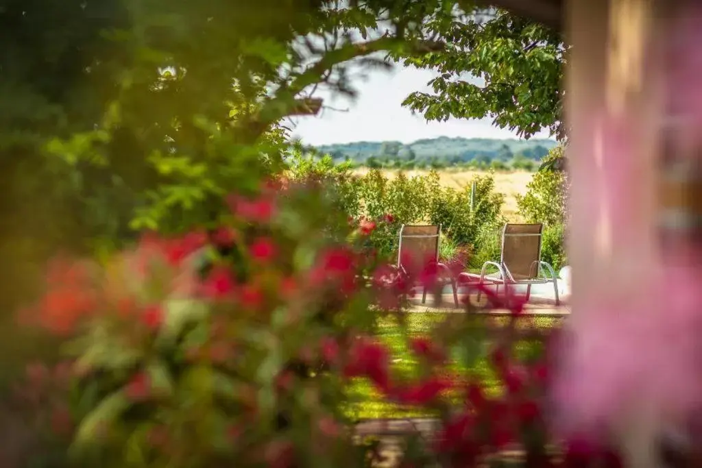 Pool view, Garden in Les Barelles