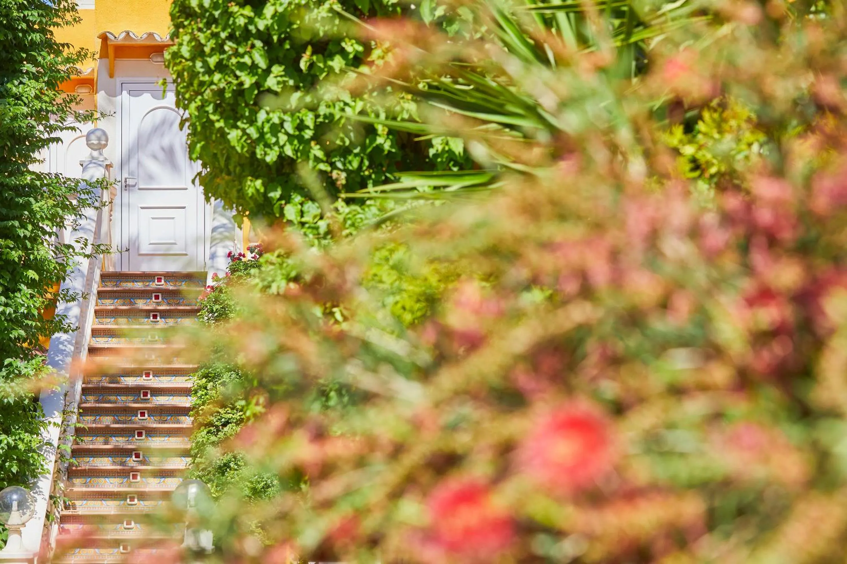 Spring in Hotel Cupidor