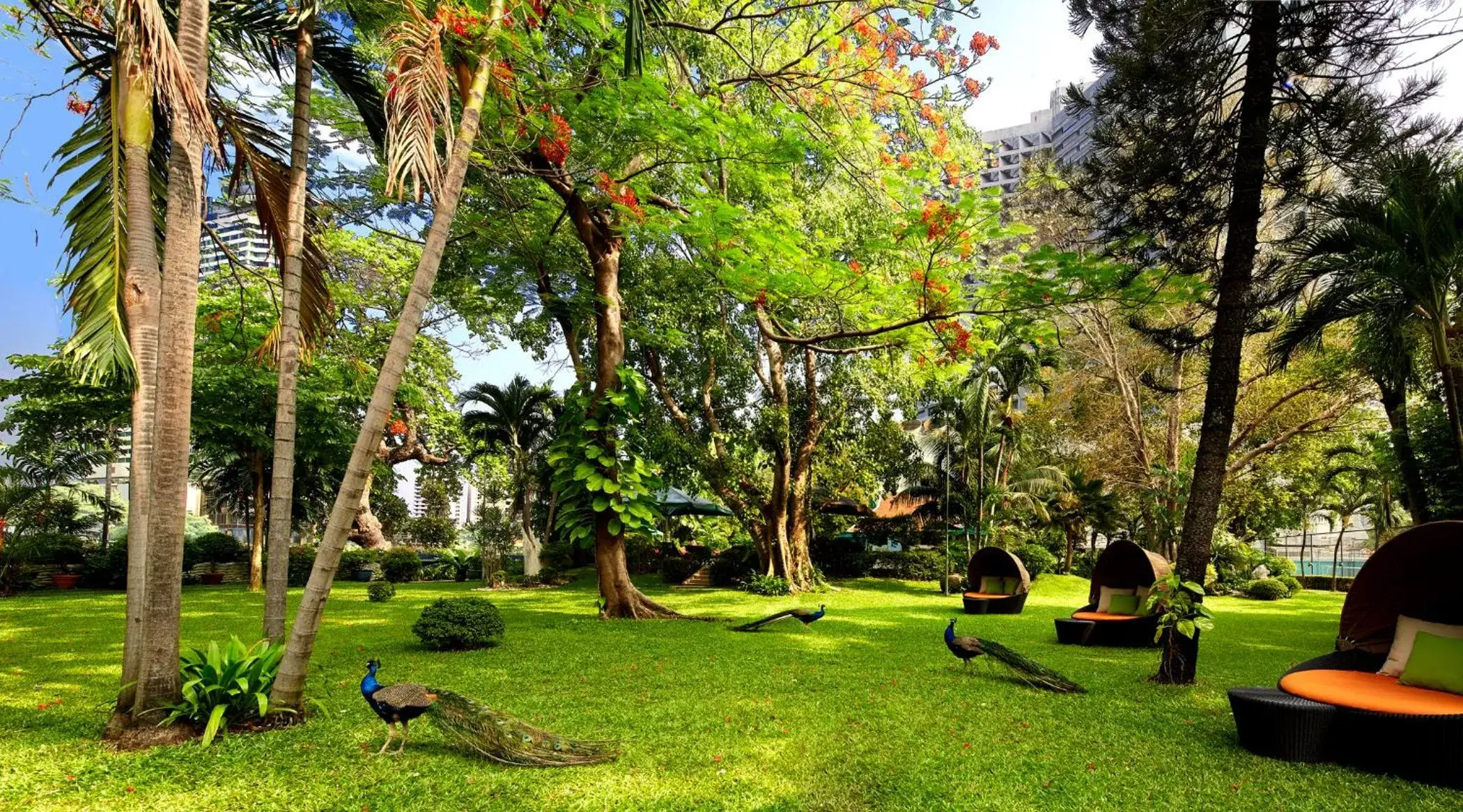 Garden in Royal Orchid Sheraton Hotel and Towers