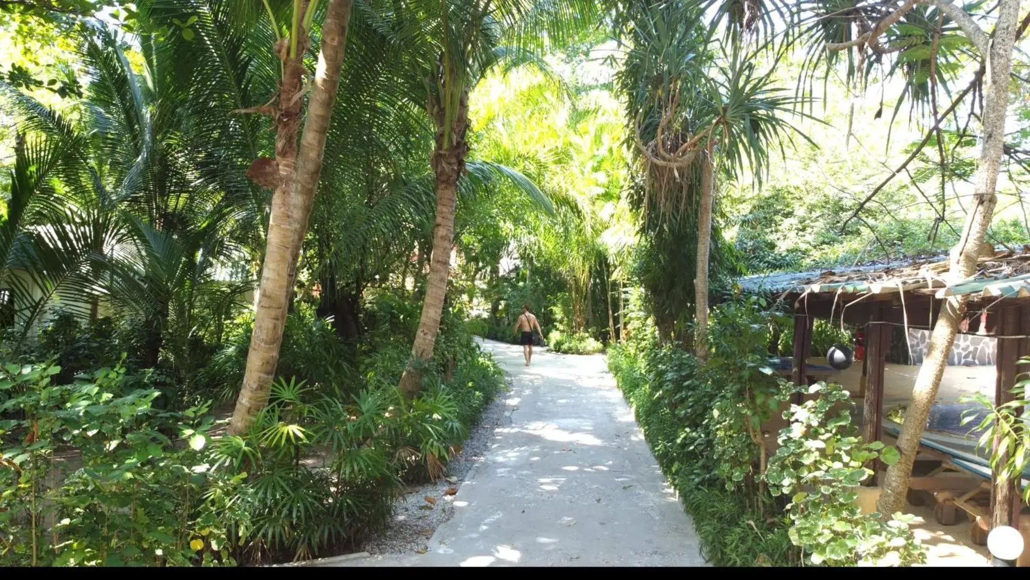 Garden in Lanta Island Resort - SHA Extra Plus