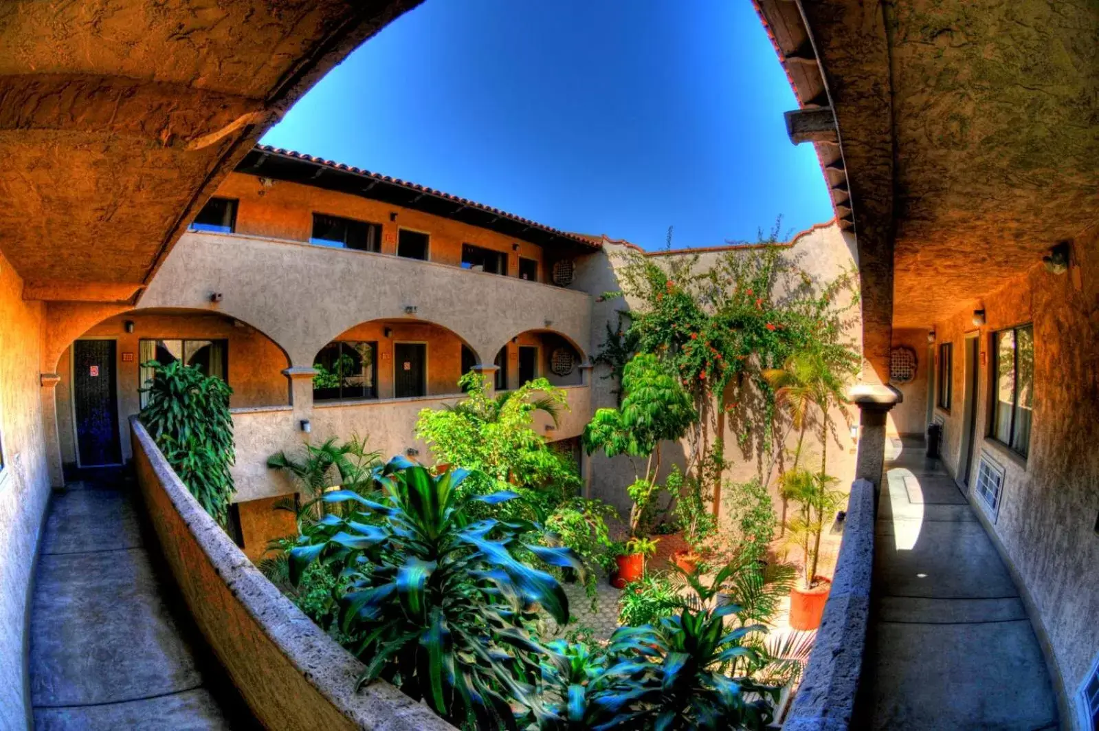 Garden view, Property Building in La Villa de Zaragoza
