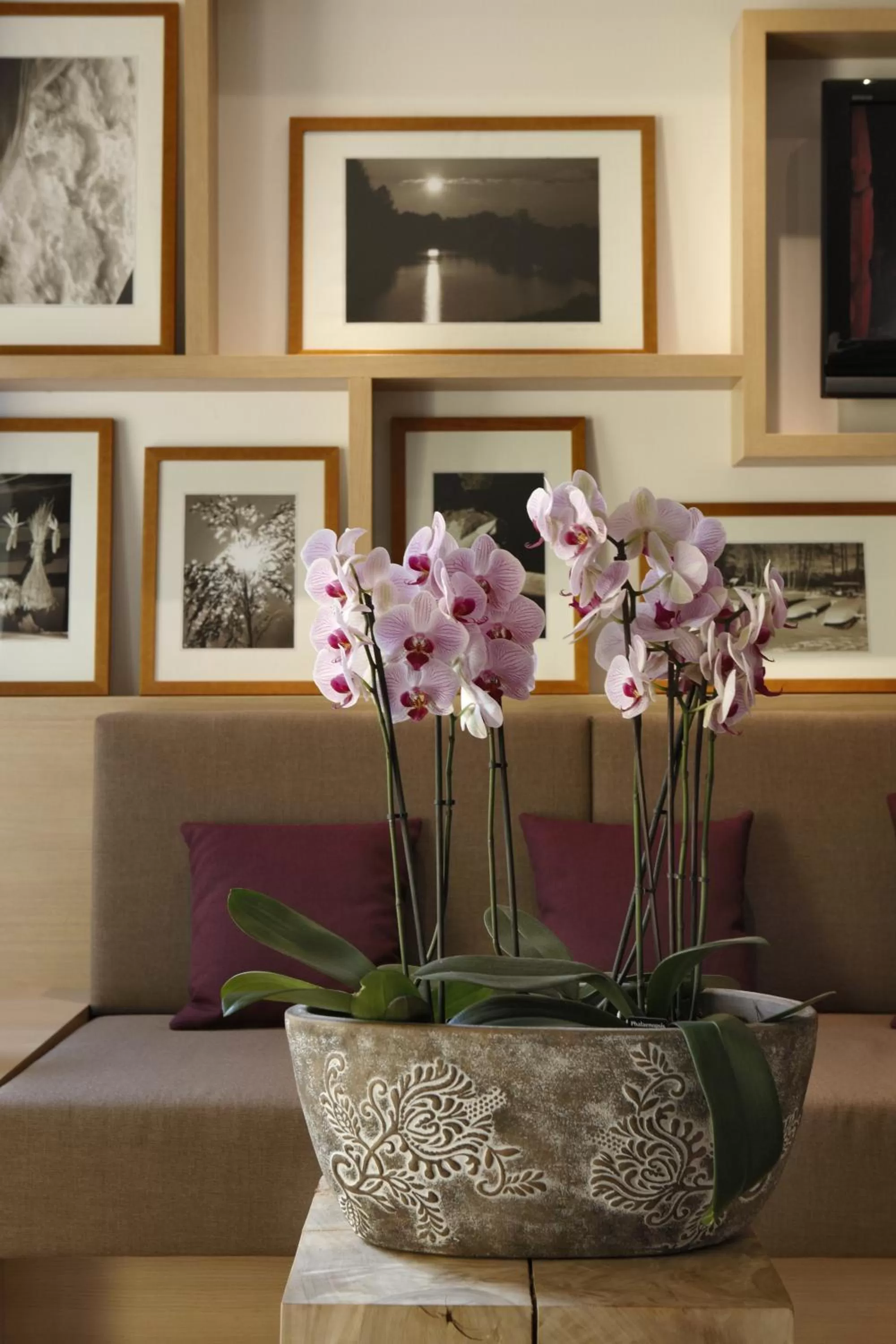 Lobby or reception in Logis Hôtel Kur- und Wellnesshaus Spree Balance