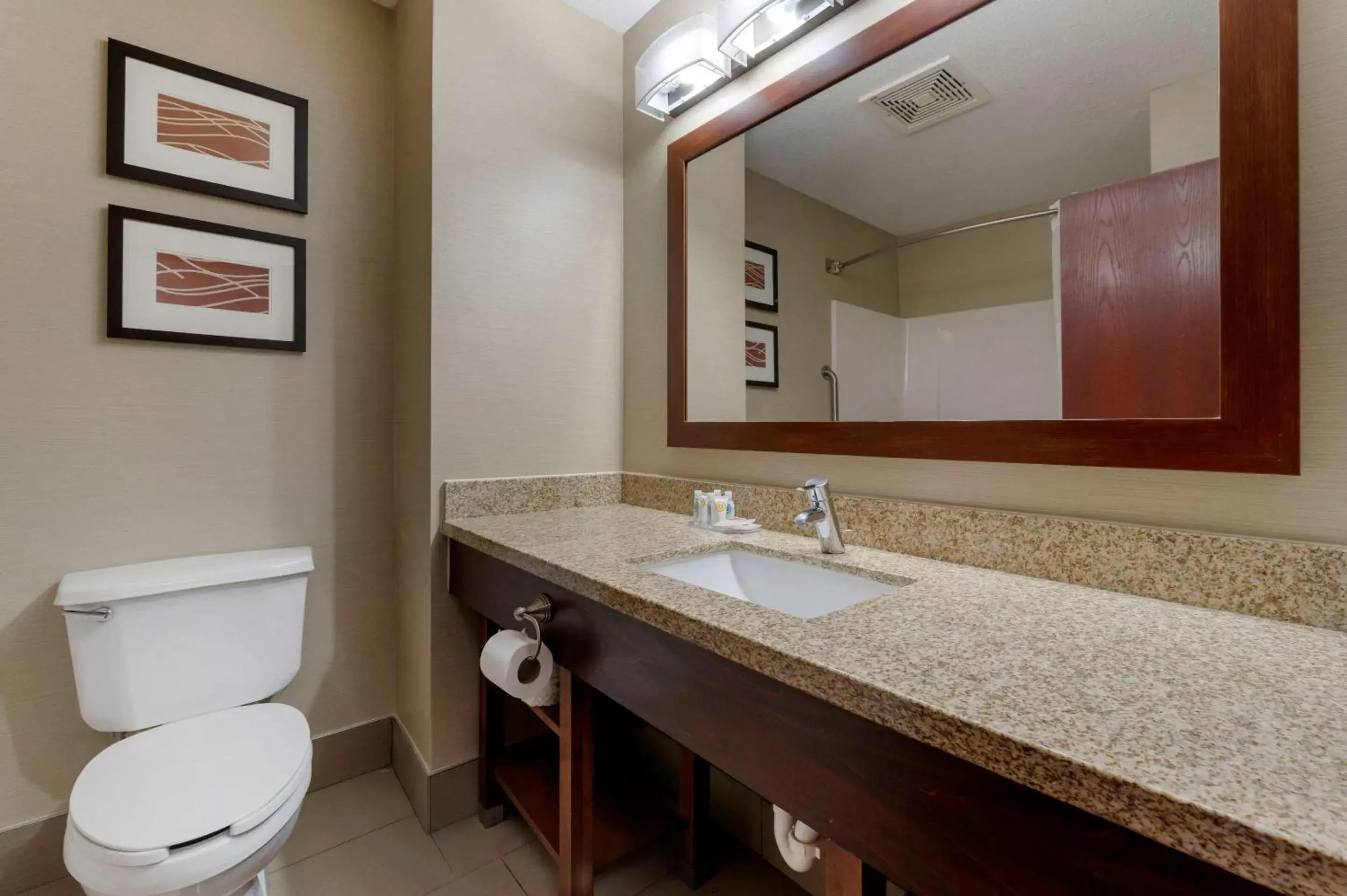 Bathroom in Comfort Inn East Pickerington