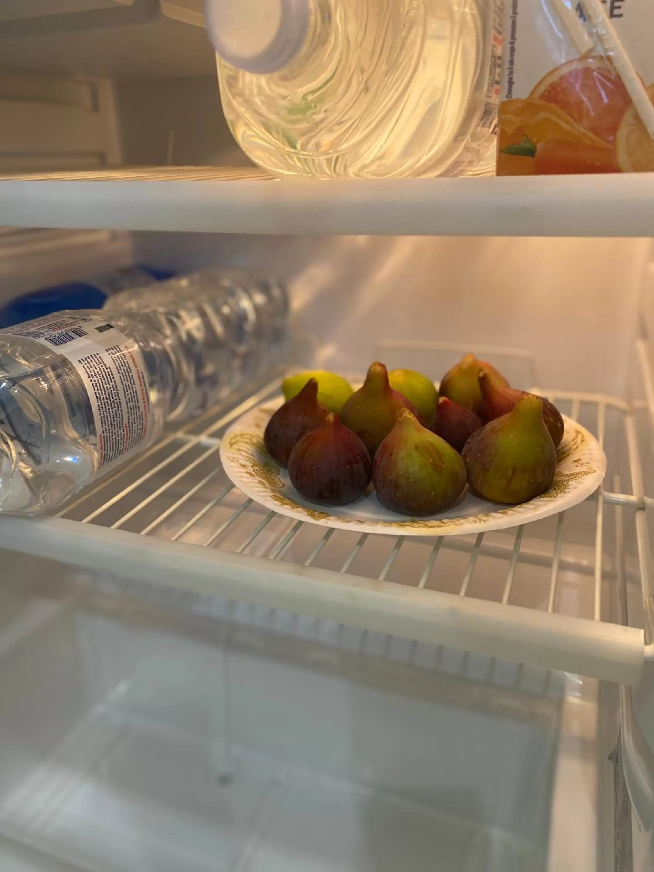 Kitchen or kitchenette in Villa Vittoria