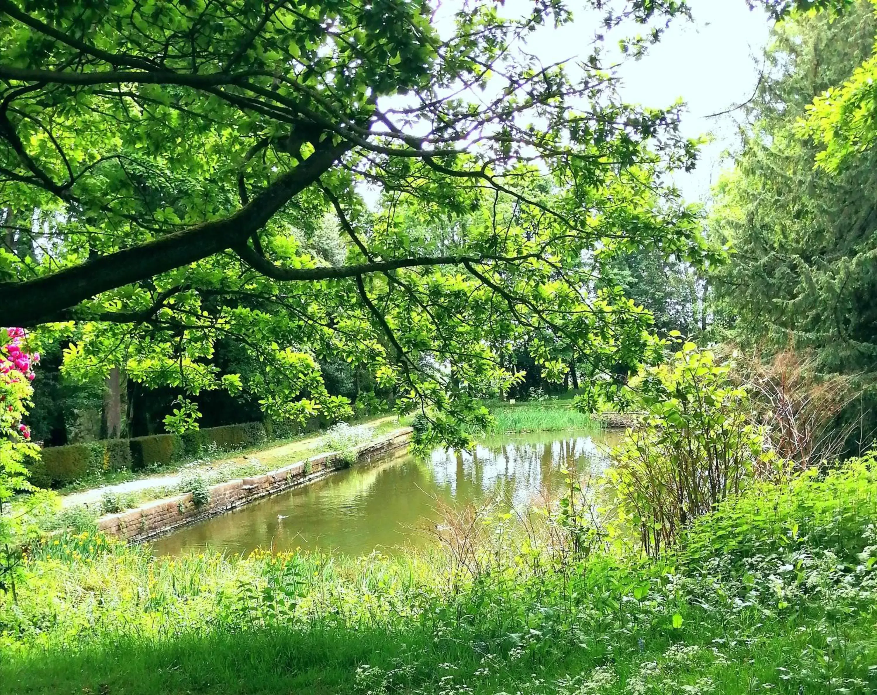 Natural landscape in Wortley Hall Sheffield