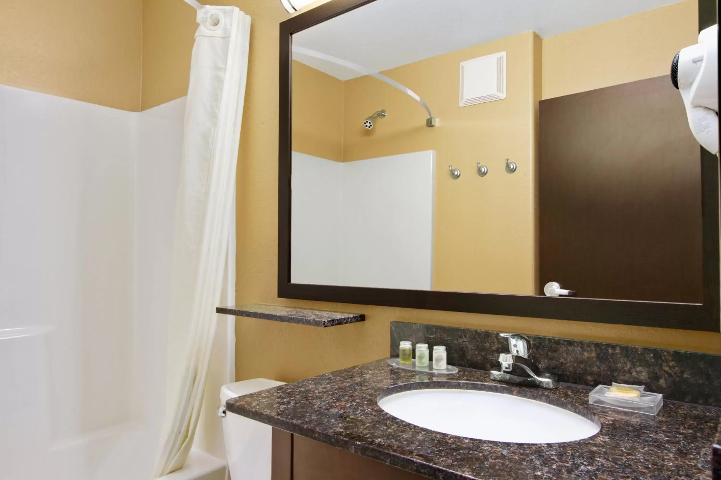 Bathroom in Microtel Inn & Suites by Wyndham Buda Austin South